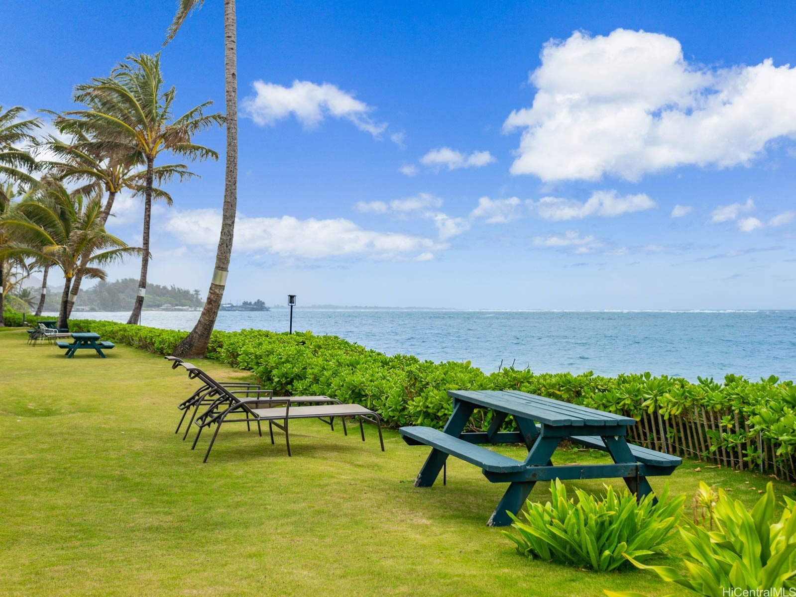 53-567 Kamehameha Highway 206