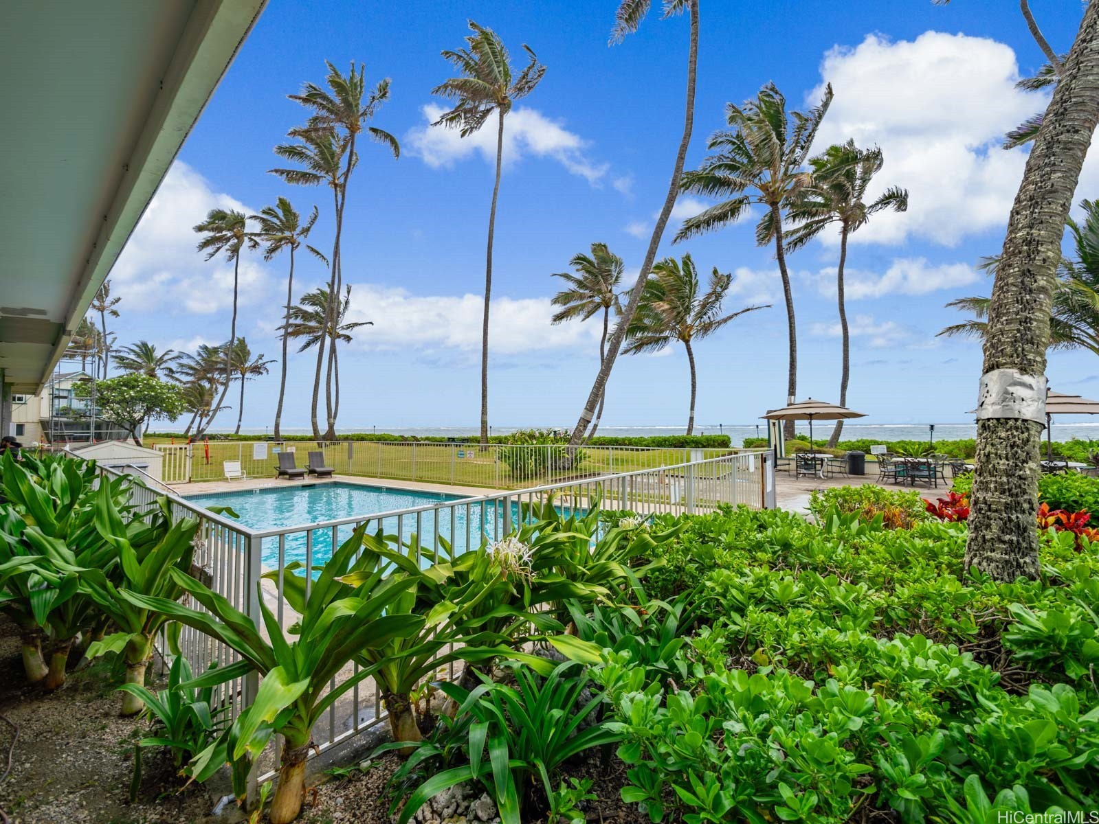 53-567 Kamehameha Highway 206