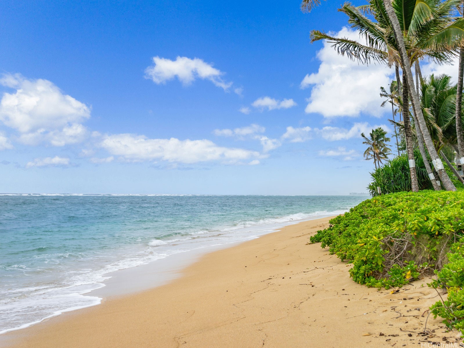 53-567 Kamehameha Highway 206