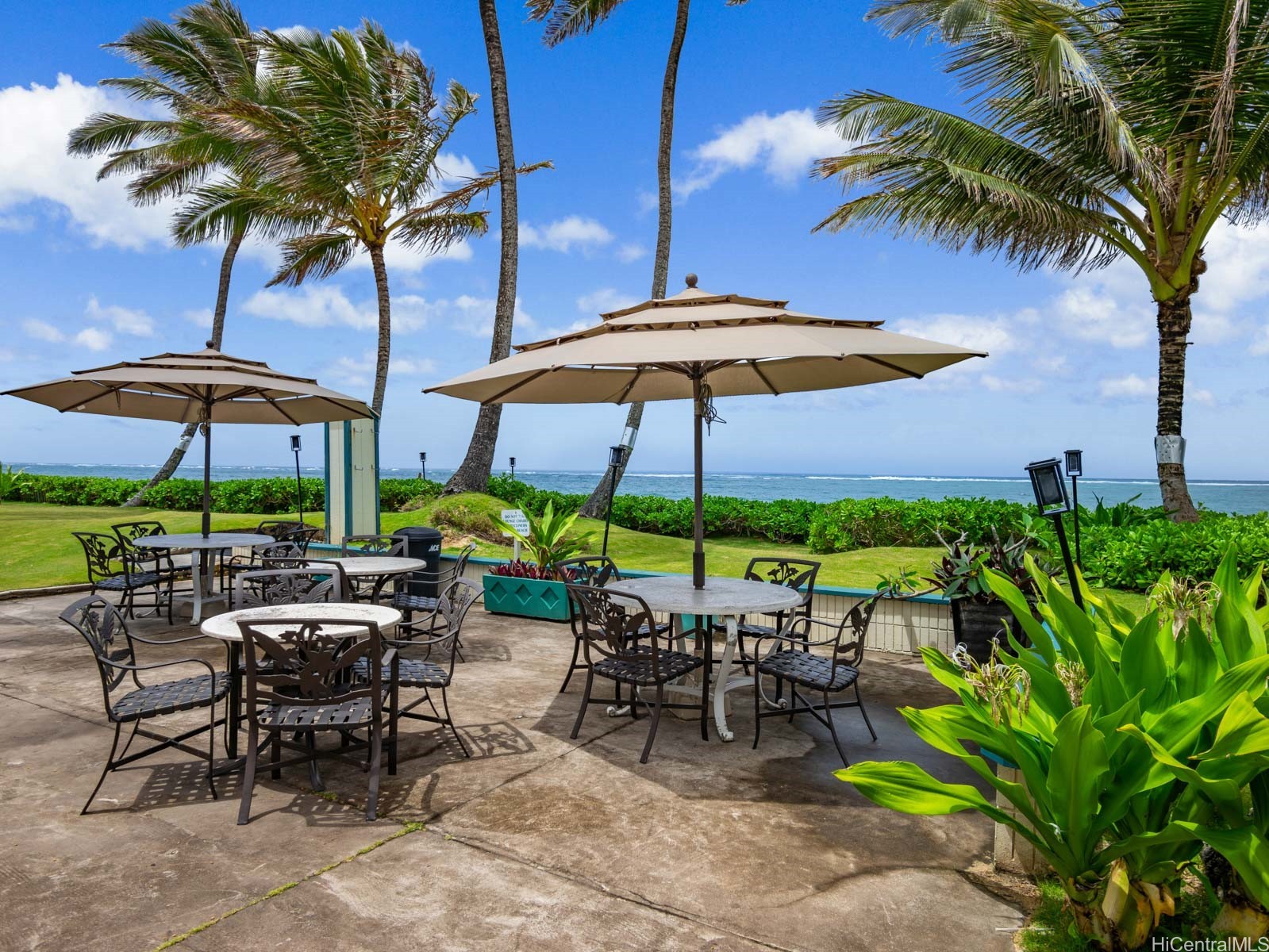 53-567 Kamehameha Highway 206