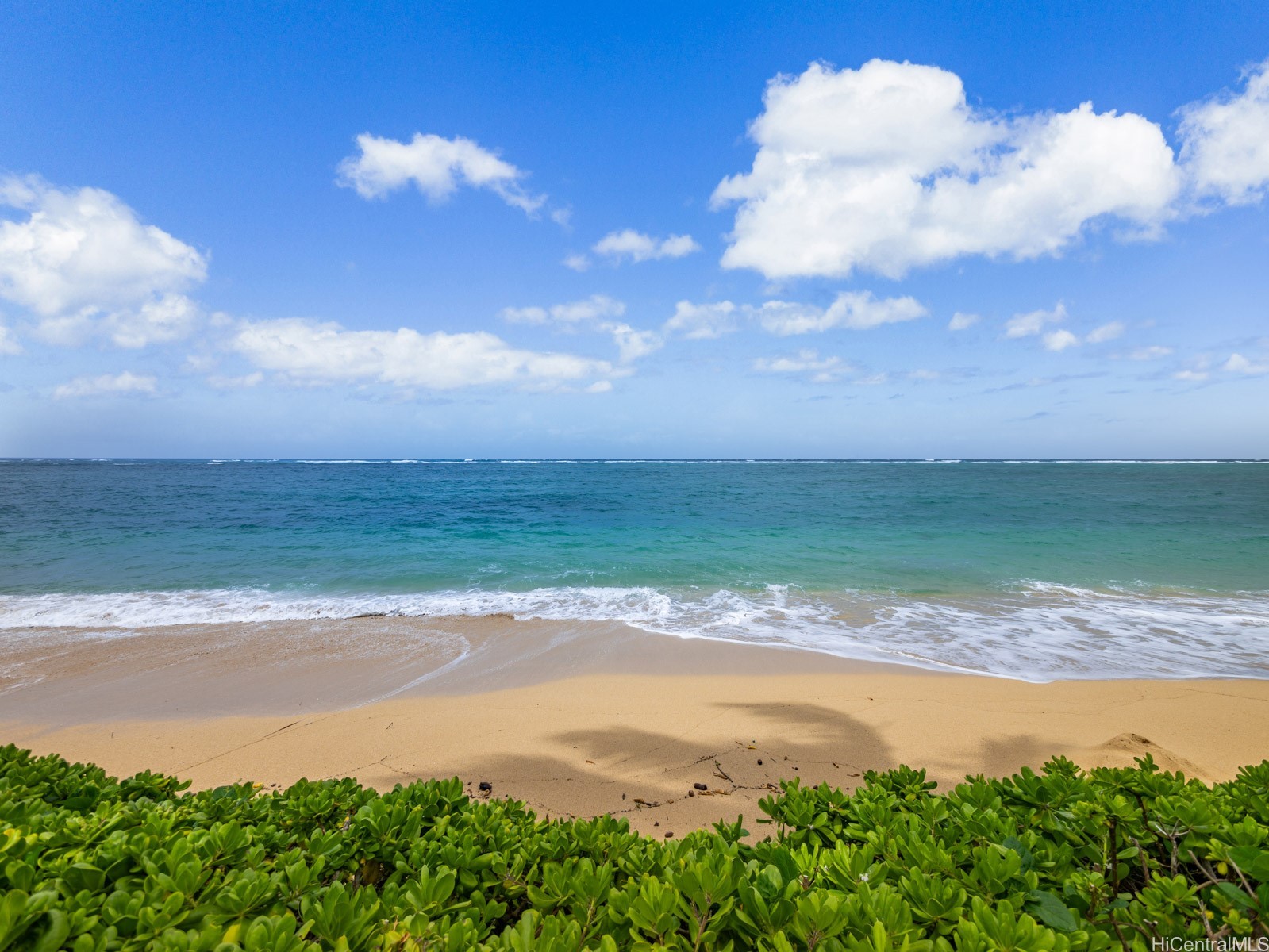 53-567 Kamehameha Highway 206