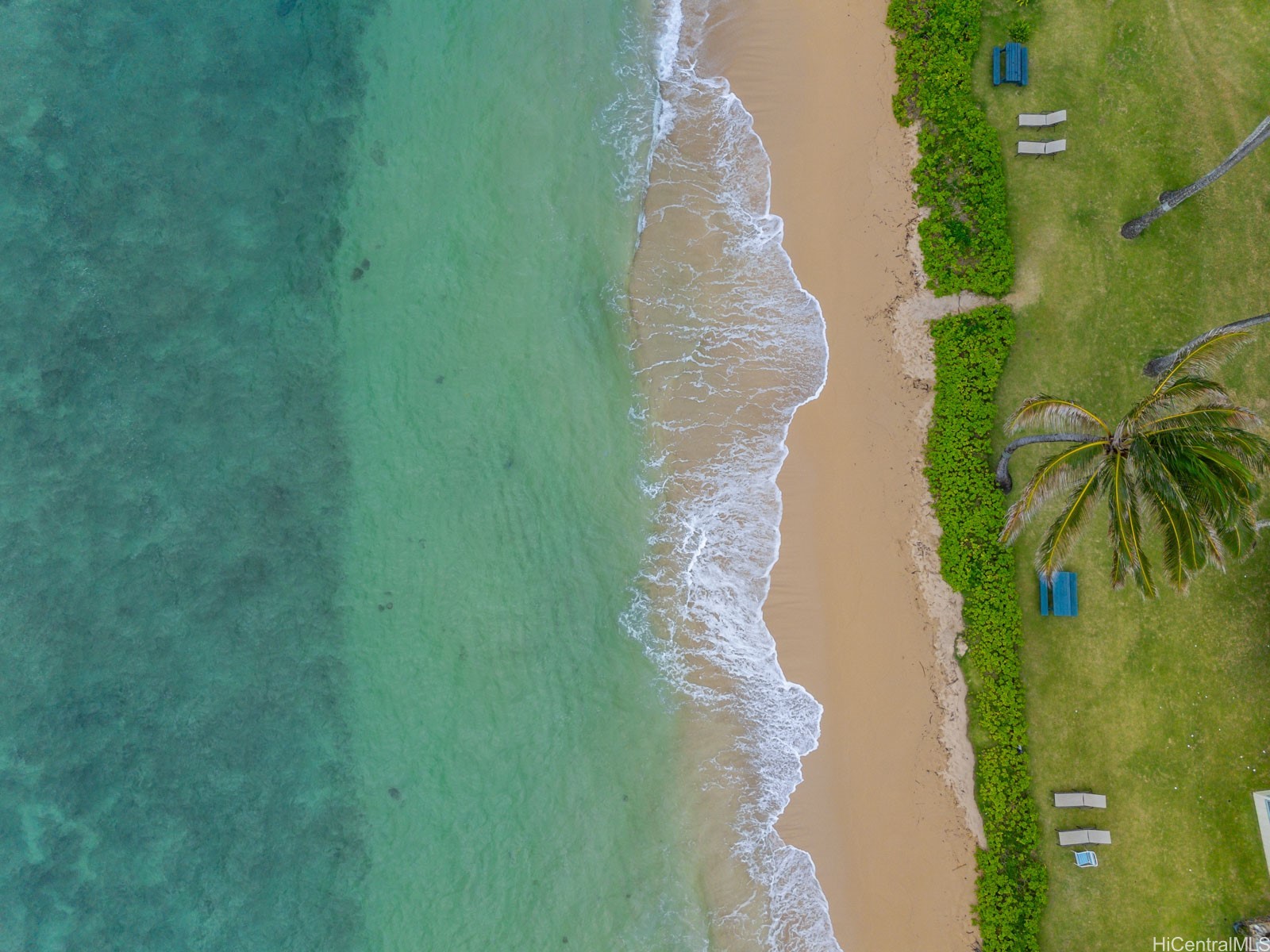 53-567 Kamehameha Highway 206