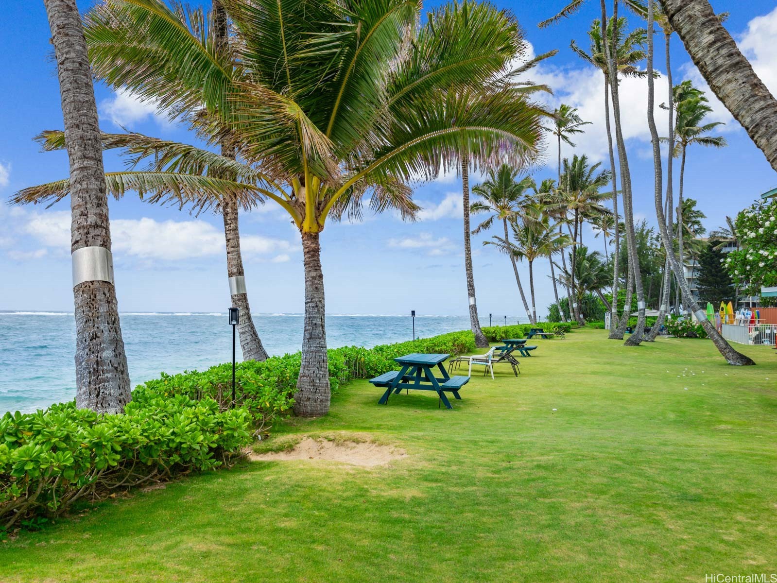 53-567 Kamehameha Highway 206