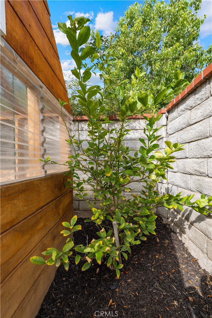 28763 Seco Canyon Road E