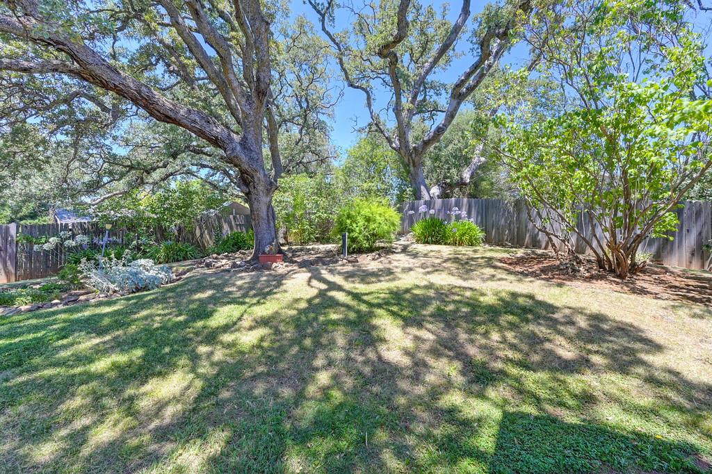 11215 Mountain View Court