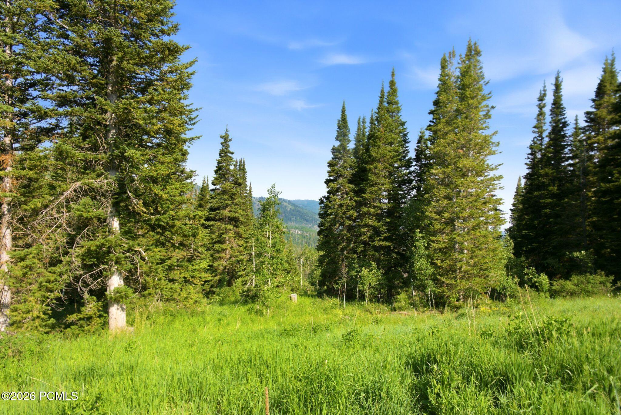 207 White Pine Canyon Road 207