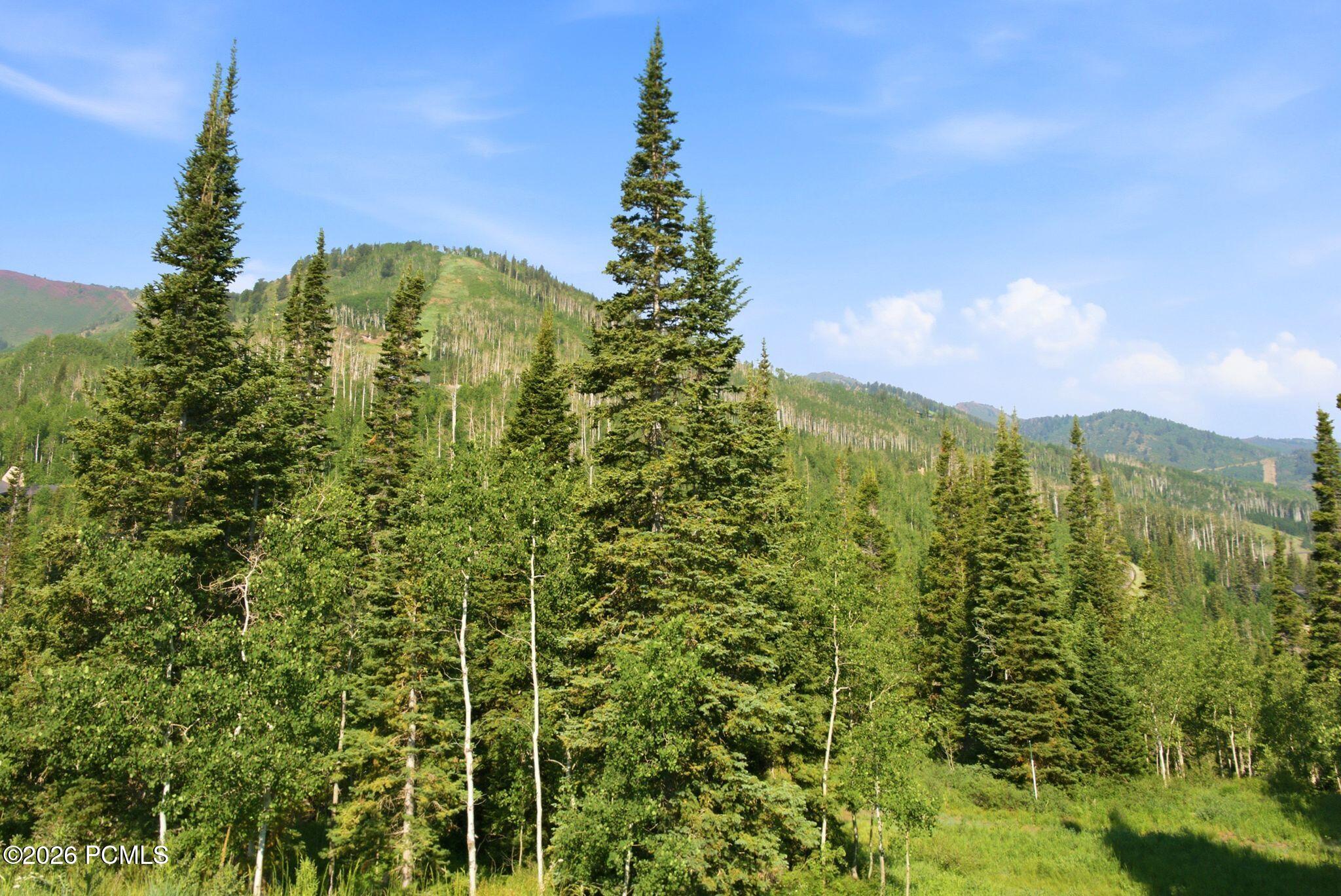 207 White Pine Canyon Road 207