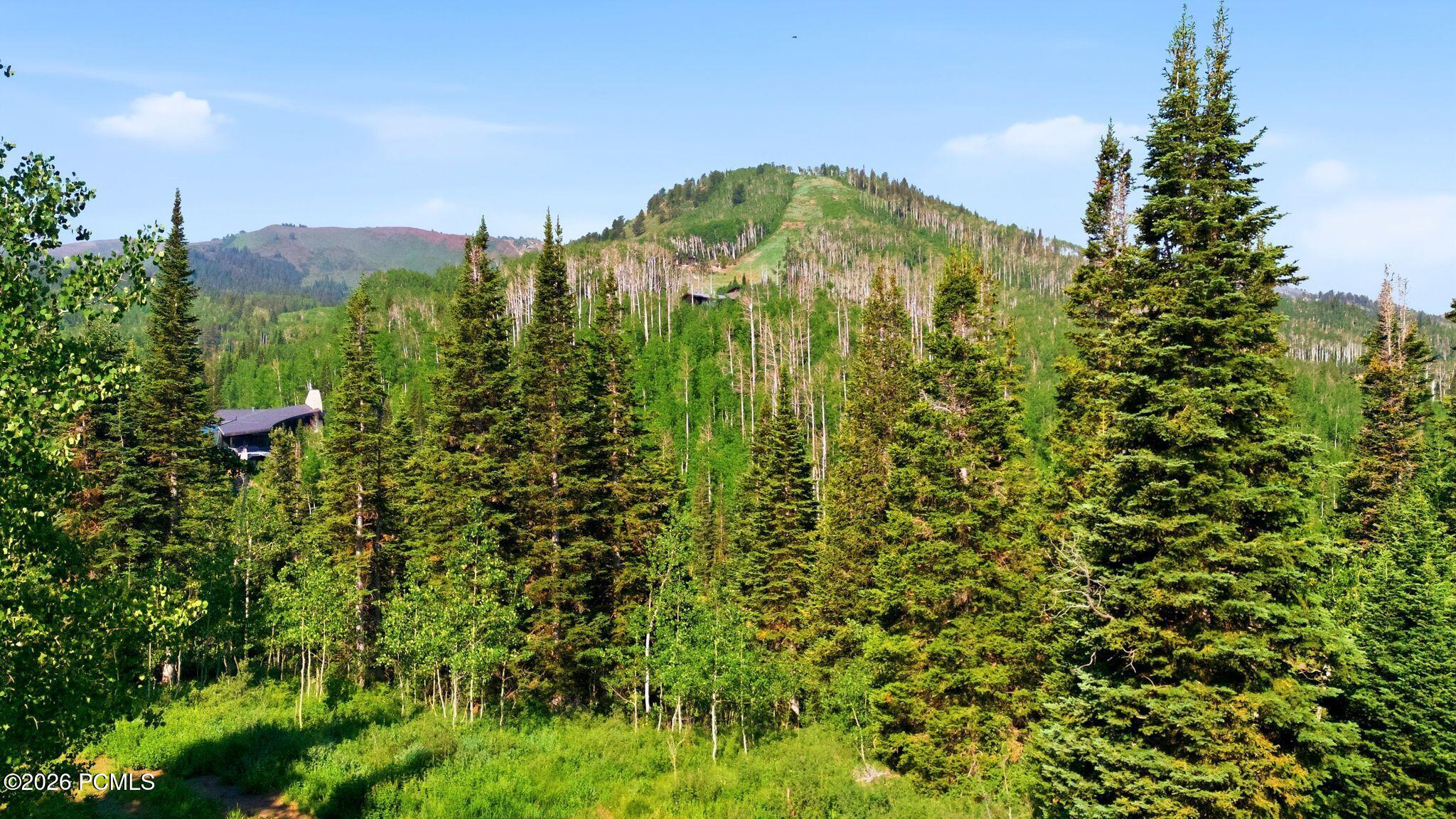 207 White Pine Canyon Road 207
