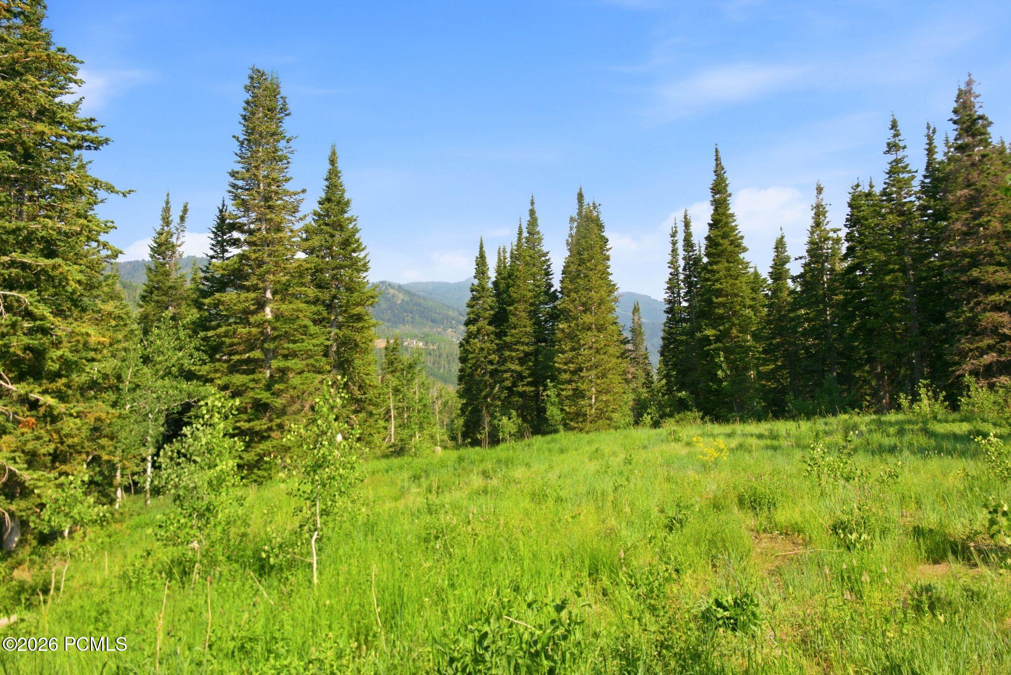 207 White Pine Canyon Road 207