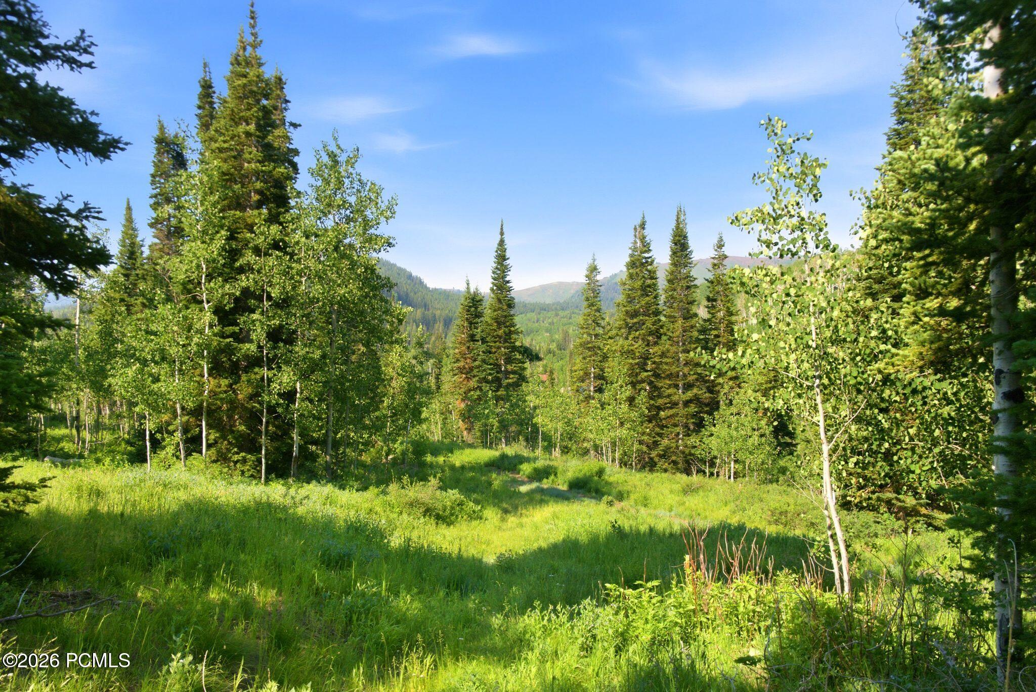 207 White Pine Canyon Road 207