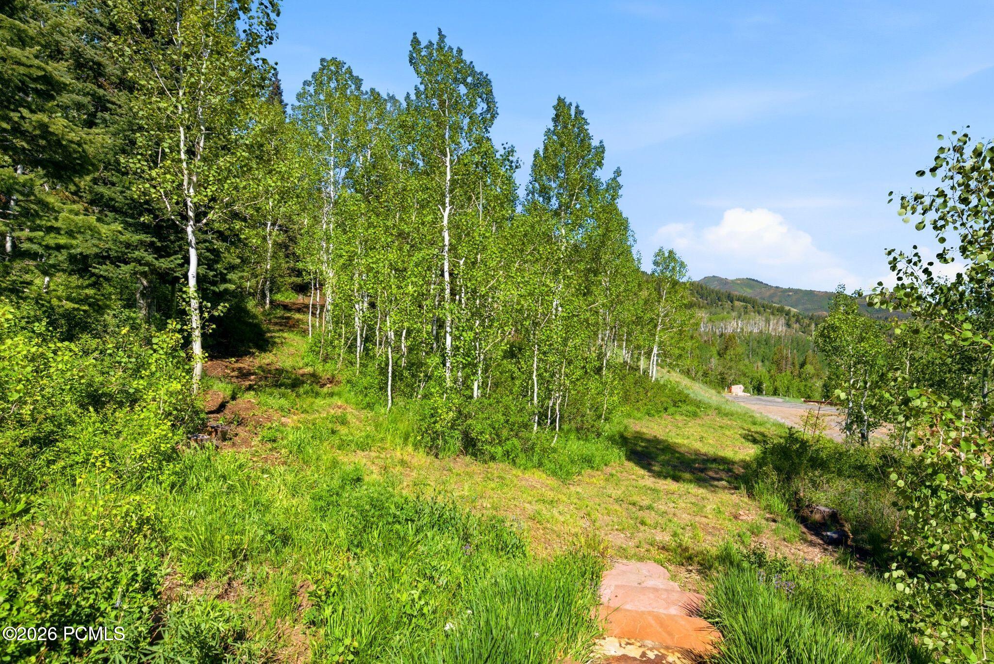39 White Pine Canyon Road