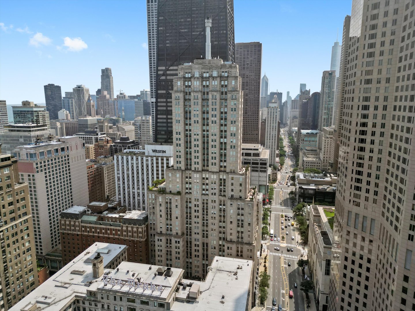 159 E Walton Place Unit: 11E