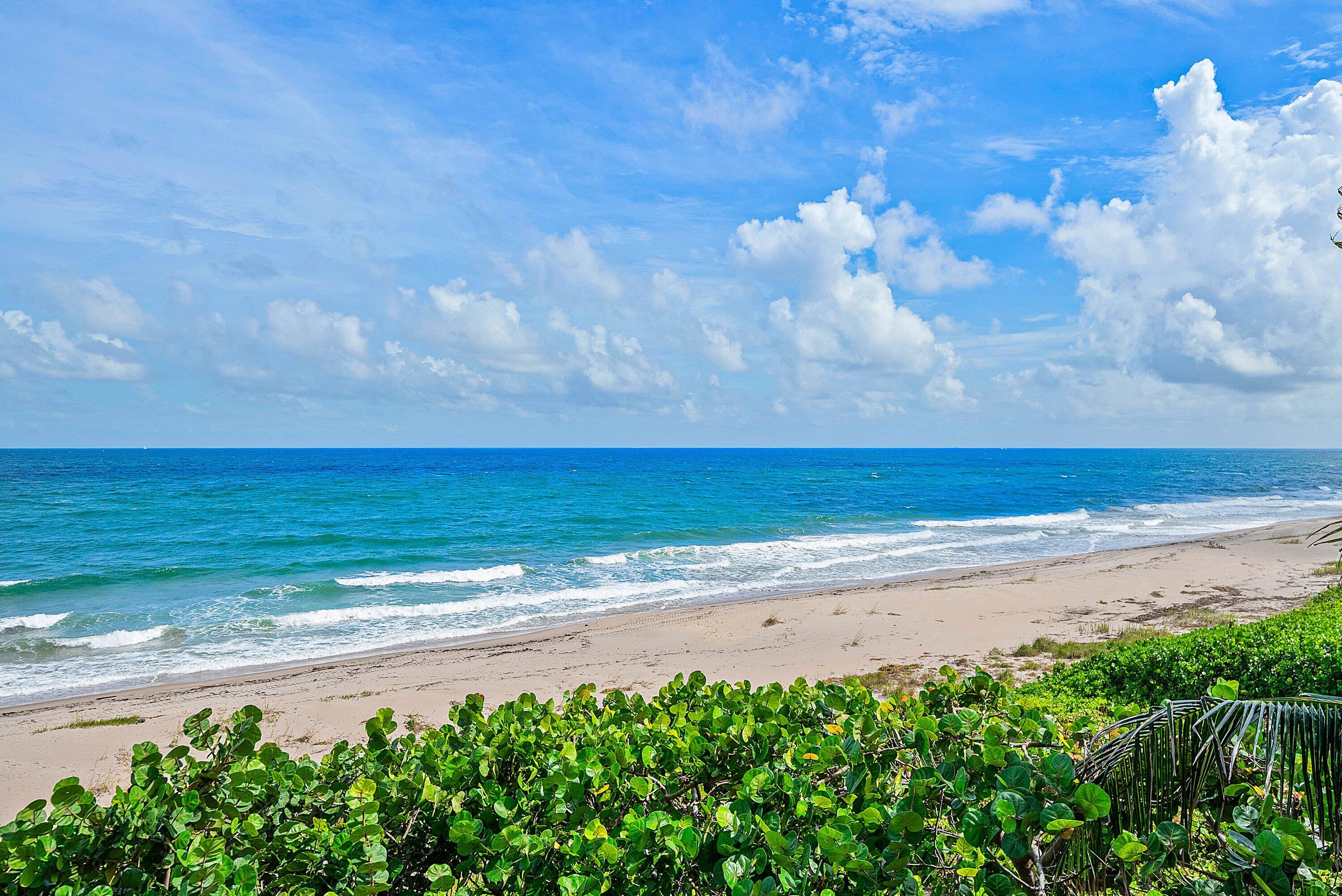 3851 N OCEAN Boulevard 3110