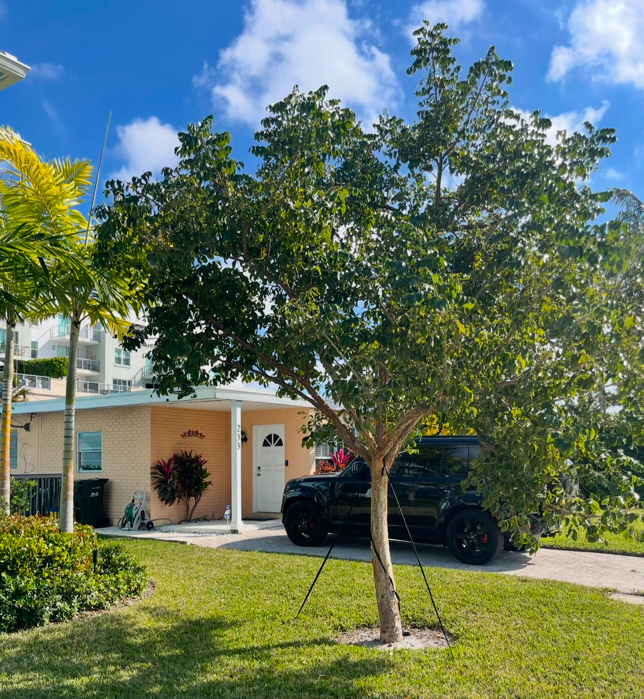 233 SE 4th Avenue