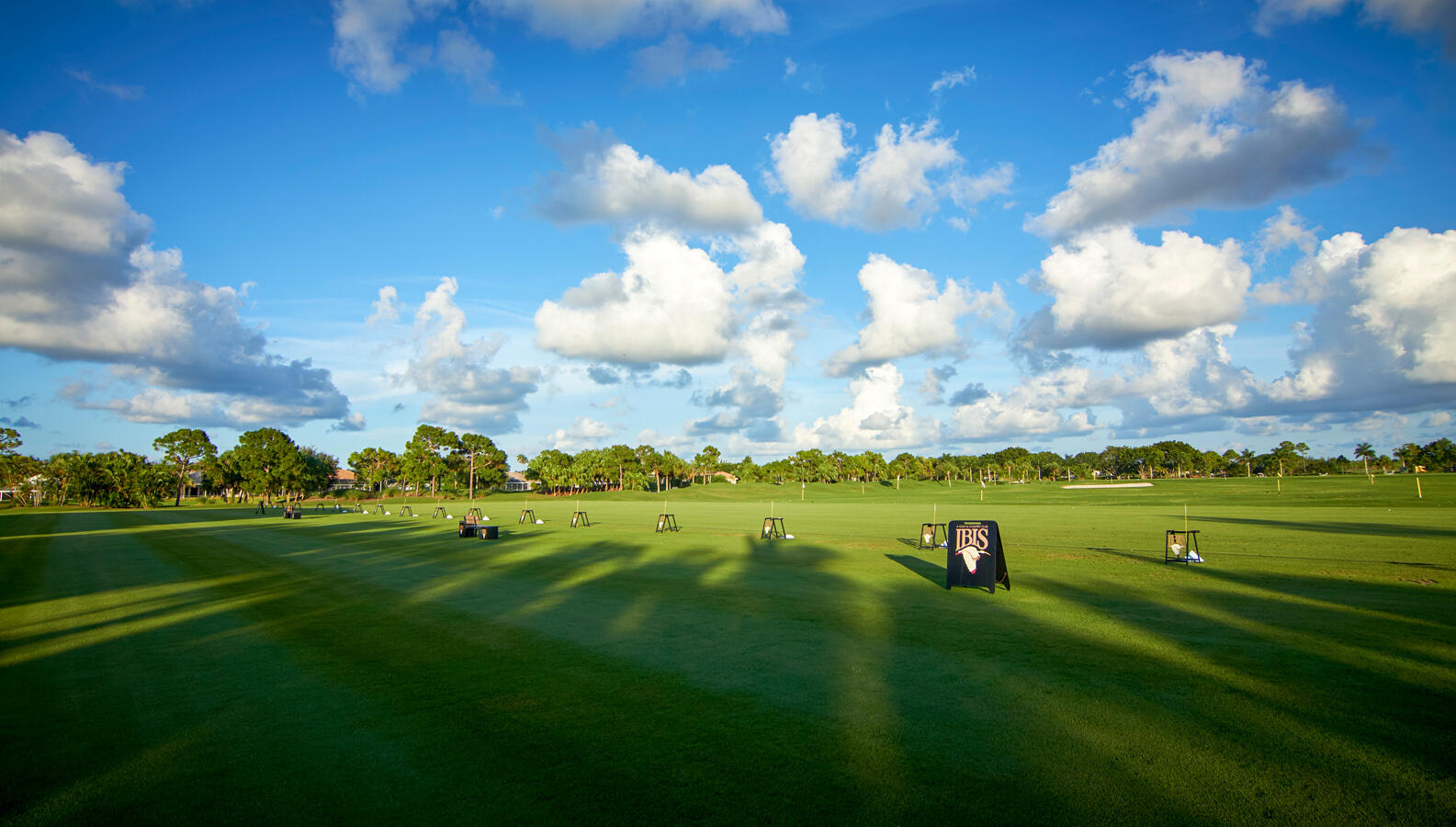 8217 Quail Meadow Way