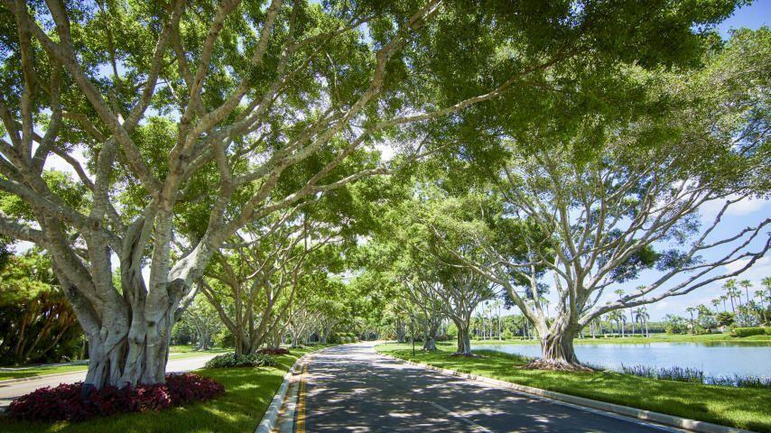 10749 Waterford Place