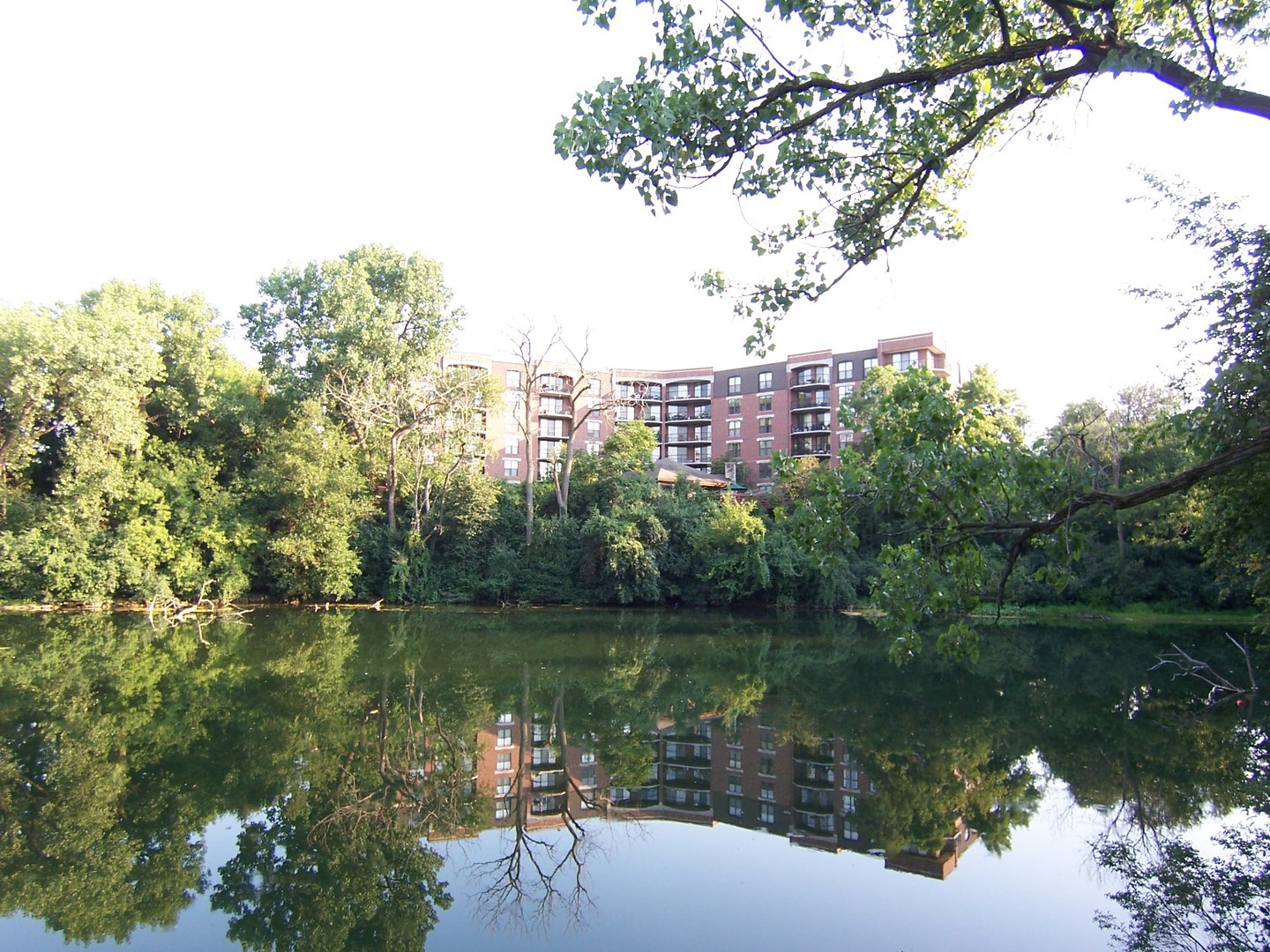 511 AURORA Avenue Unit: 510