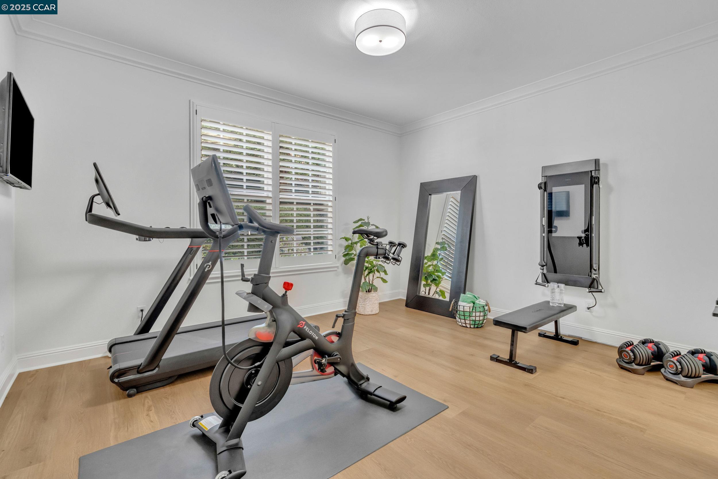 529 Justin Morgan Dr