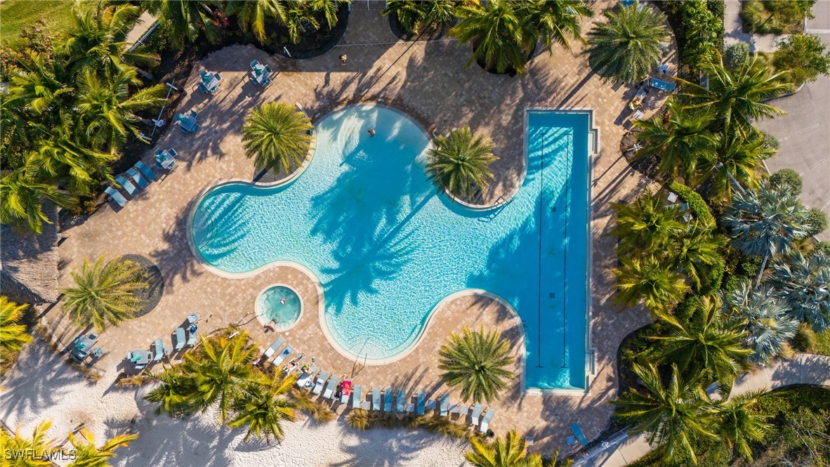 28156 Captiva Shell LOOP