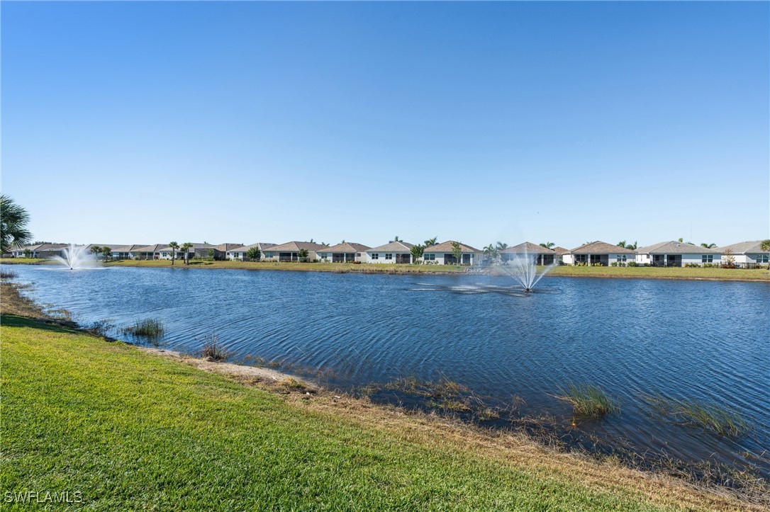 28156 Captiva Shell LOOP