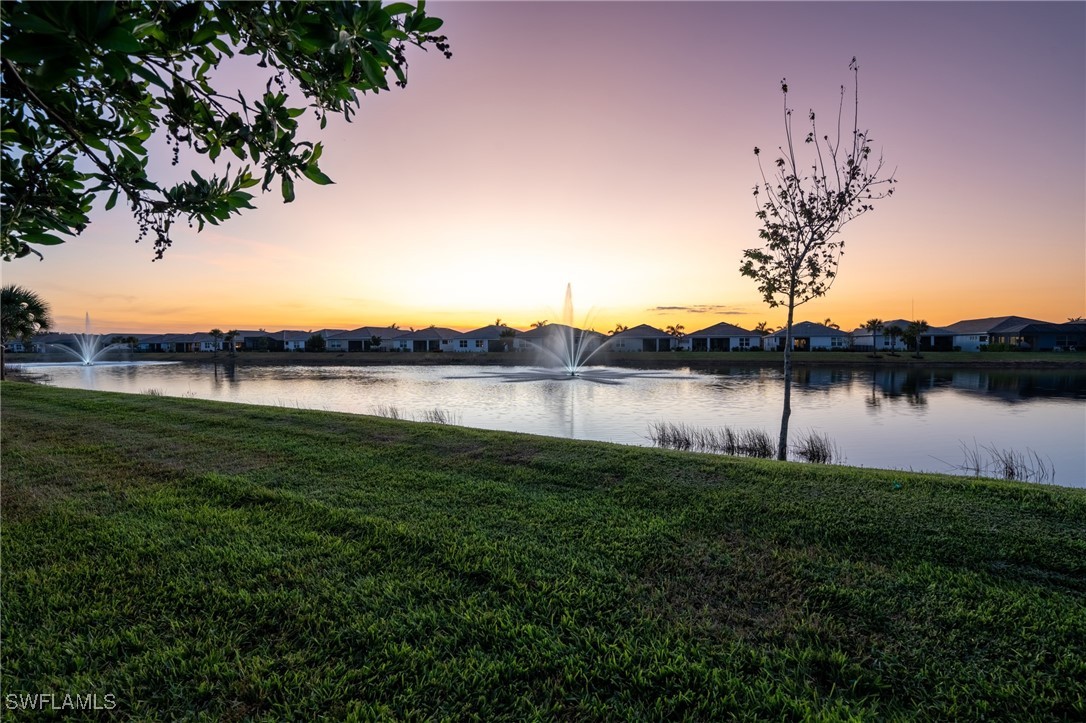 28156 Captiva Shell LOOP