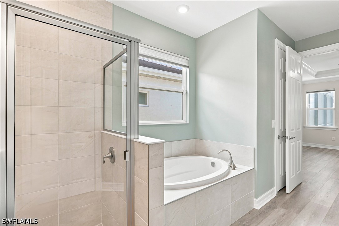 28140 Captiva Shell LOOP