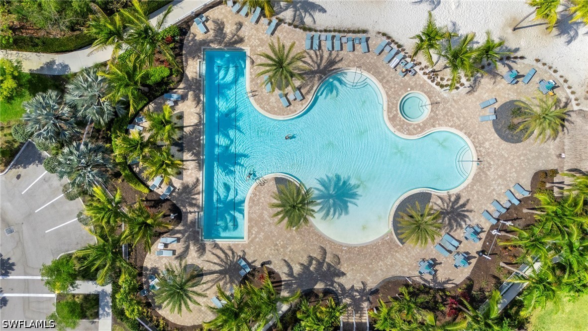28140 Captiva Shell LOOP
