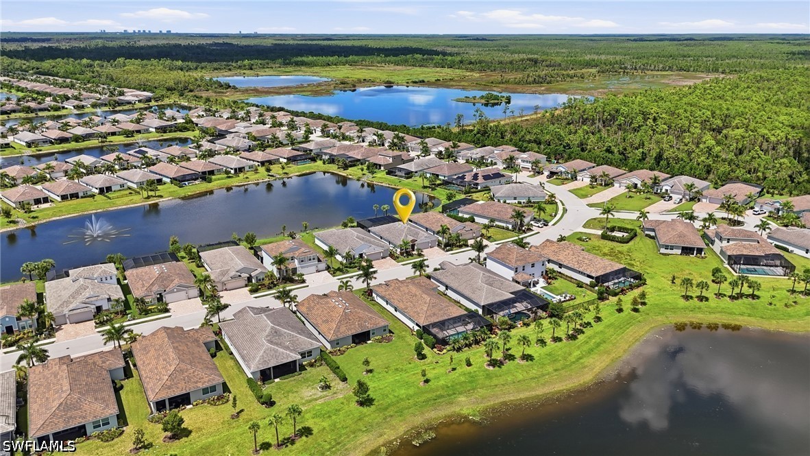28140 Captiva Shell LOOP