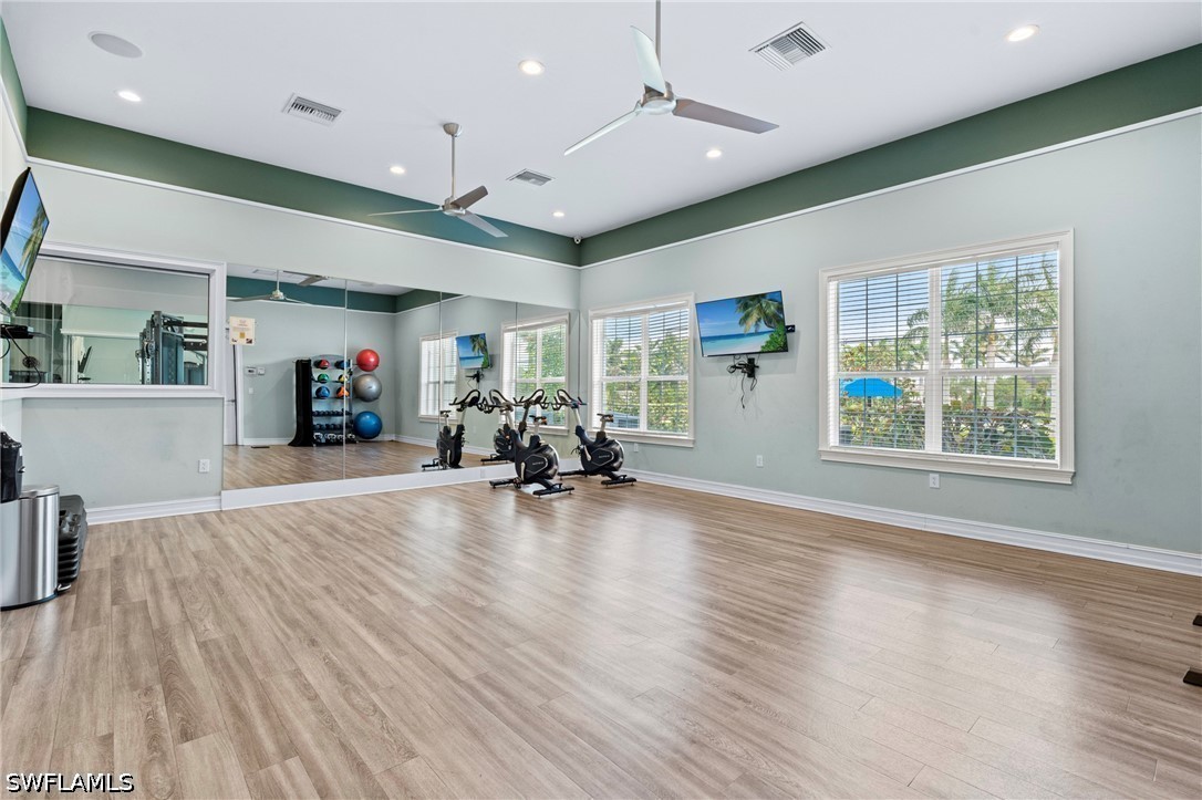 28140 Captiva Shell LOOP