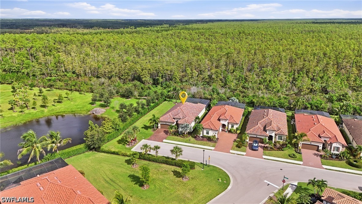 Aerial view of 17000 Galway Run beside a pond and wooded preserve.