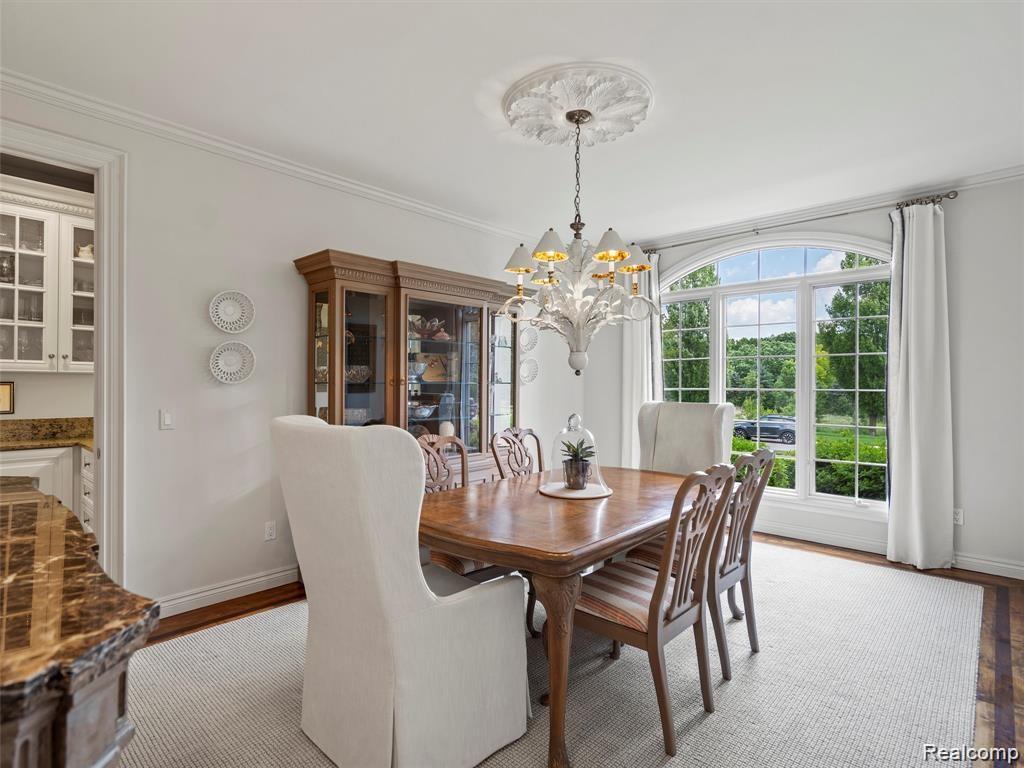 4732 Goodison Place Drive