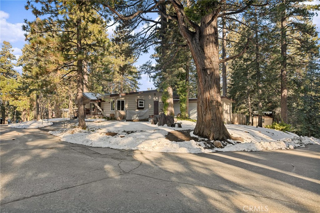 31466 Frontier Drive