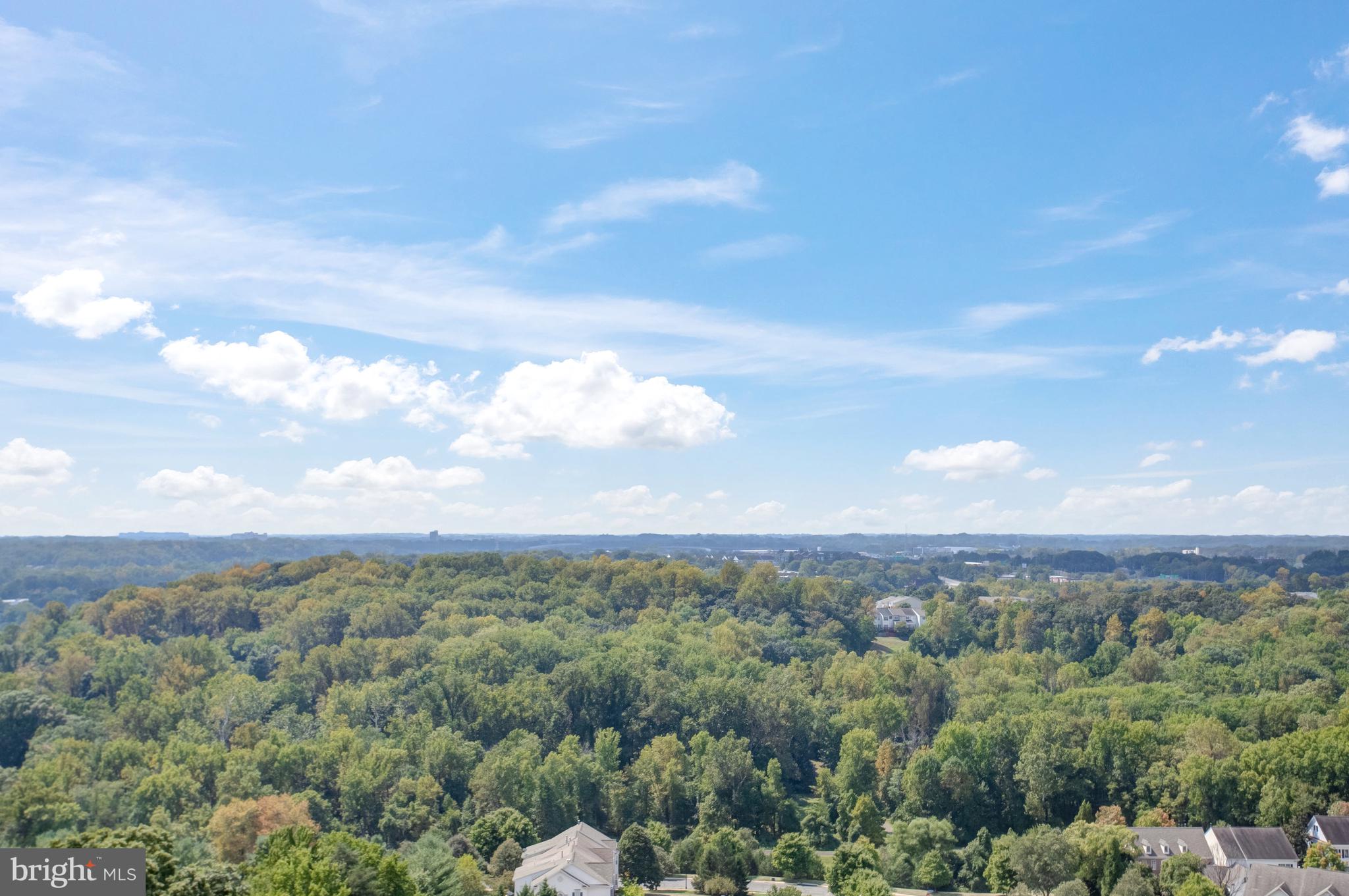 307 Yoakum Pkwy #1802