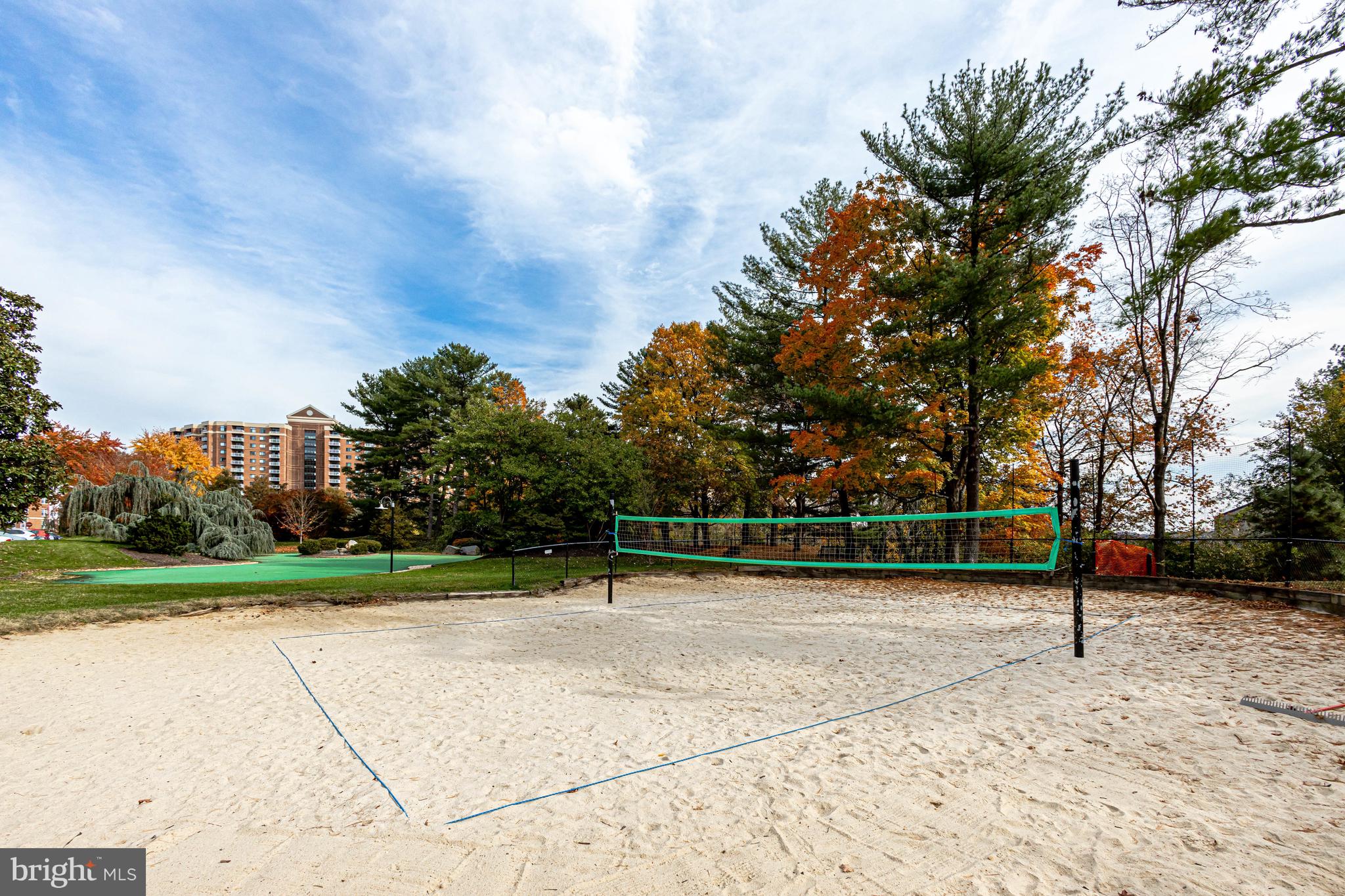 307 Yoakum Pkwy #1802