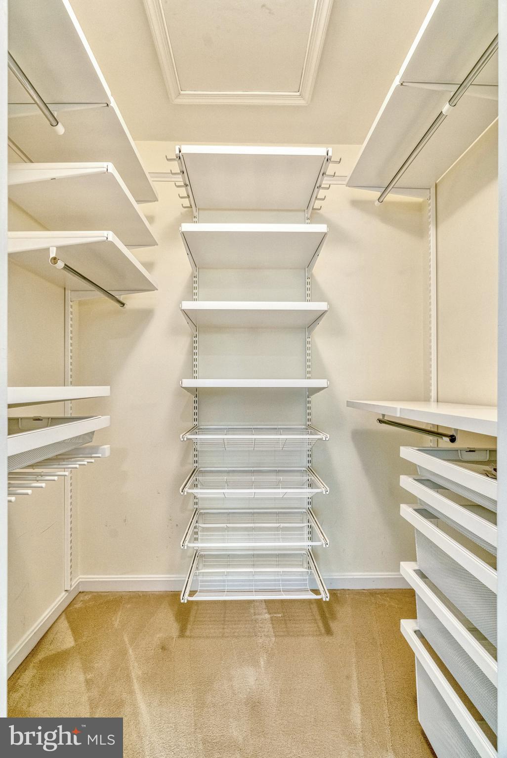 11404 Hollow Timber Way