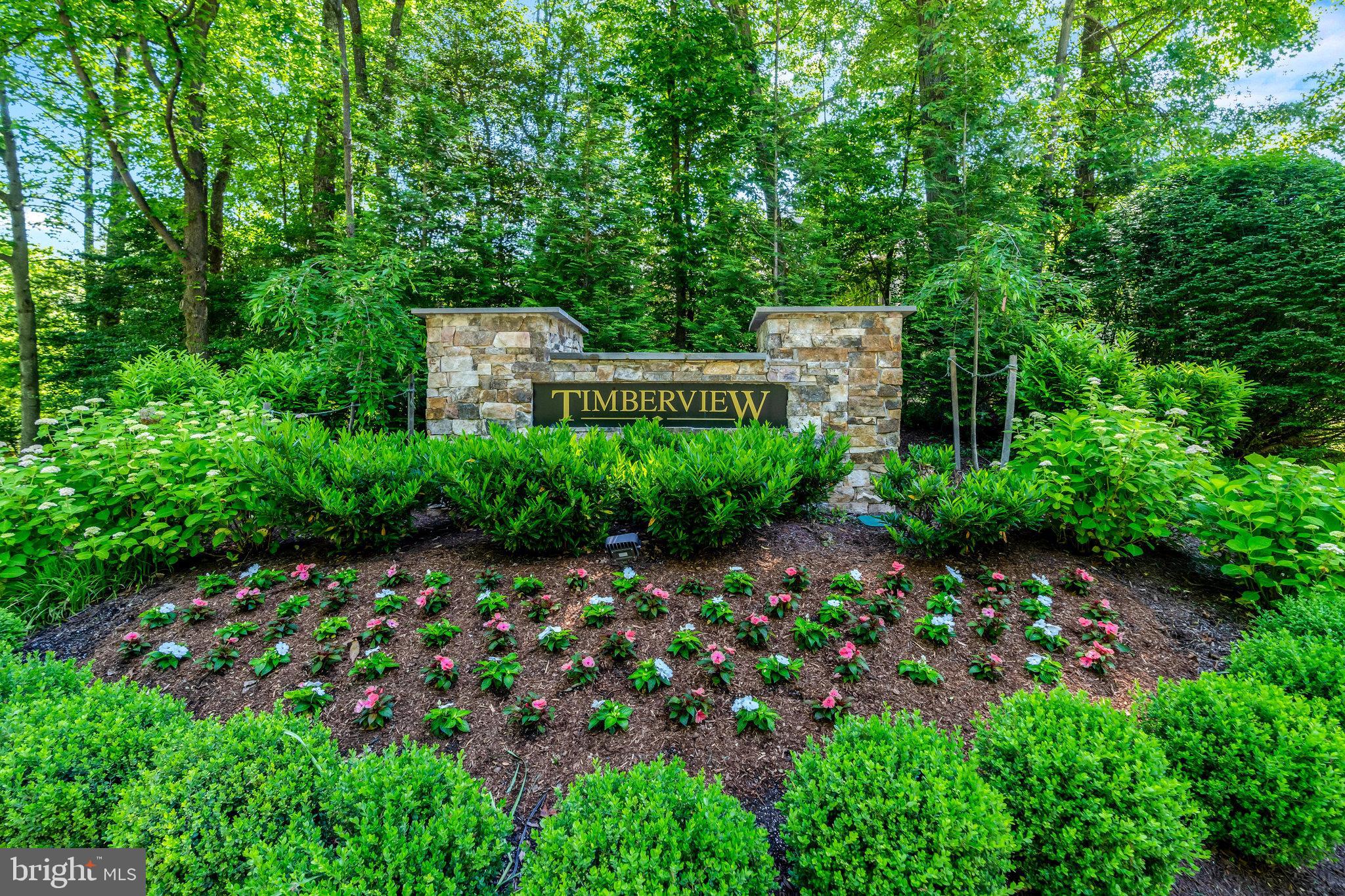 11404 Hollow Timber Way