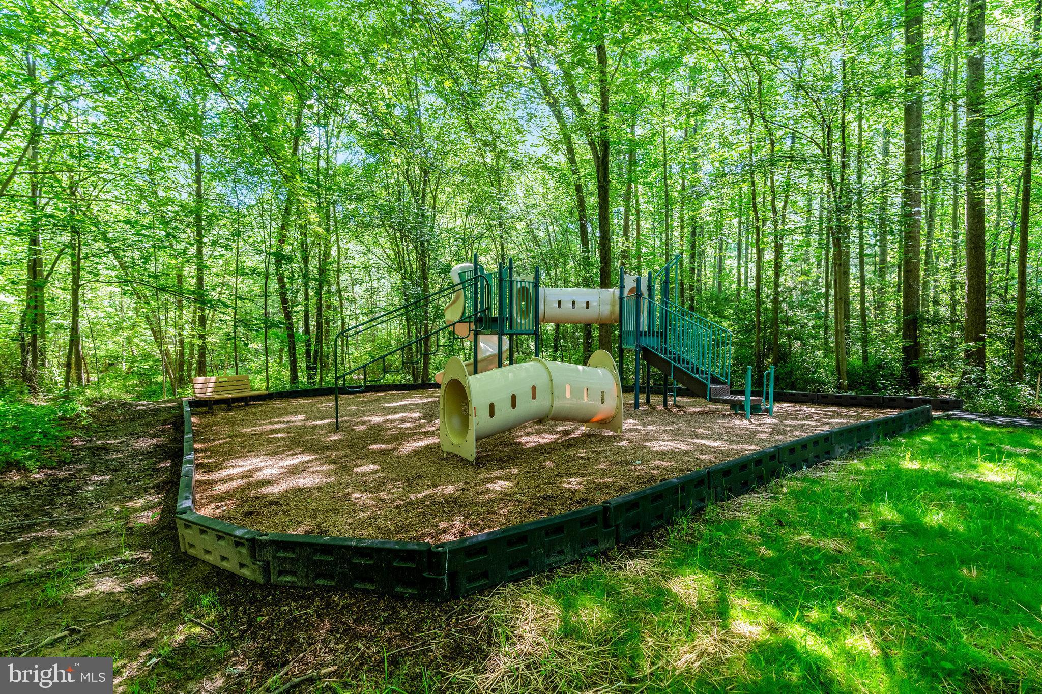 11404 Hollow Timber Way