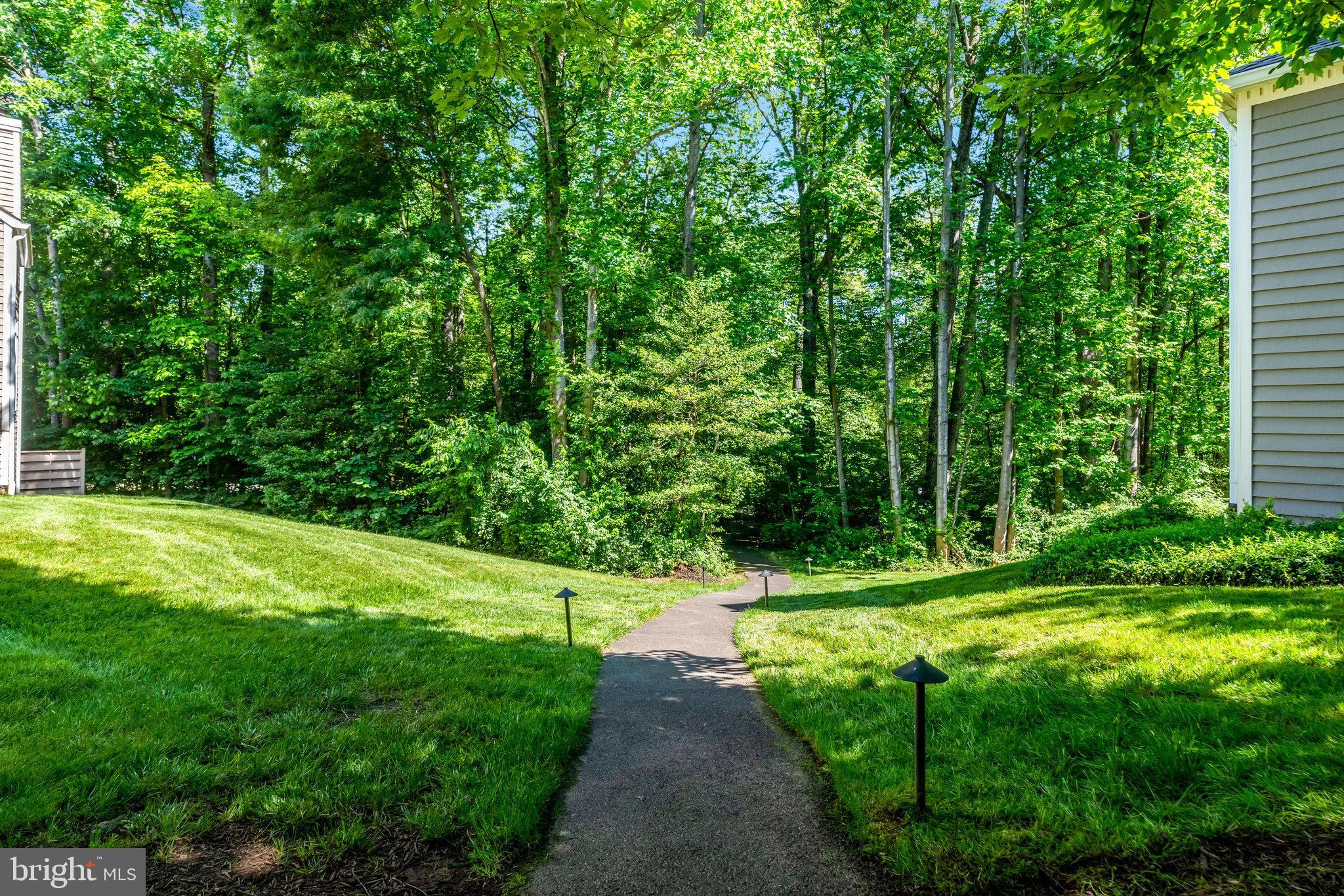 11404 Hollow Timber Way