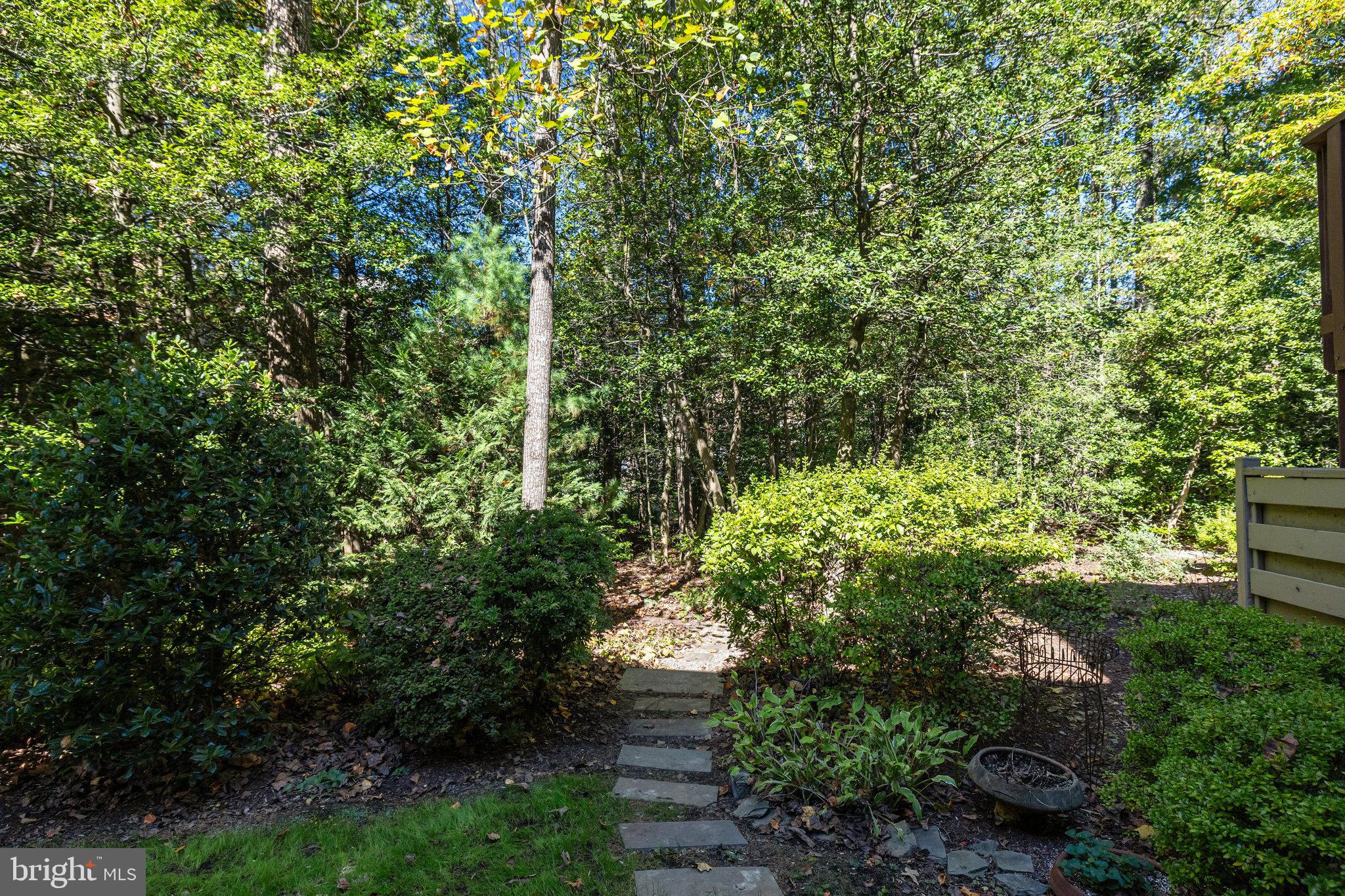 11410 Hollow Timber Way