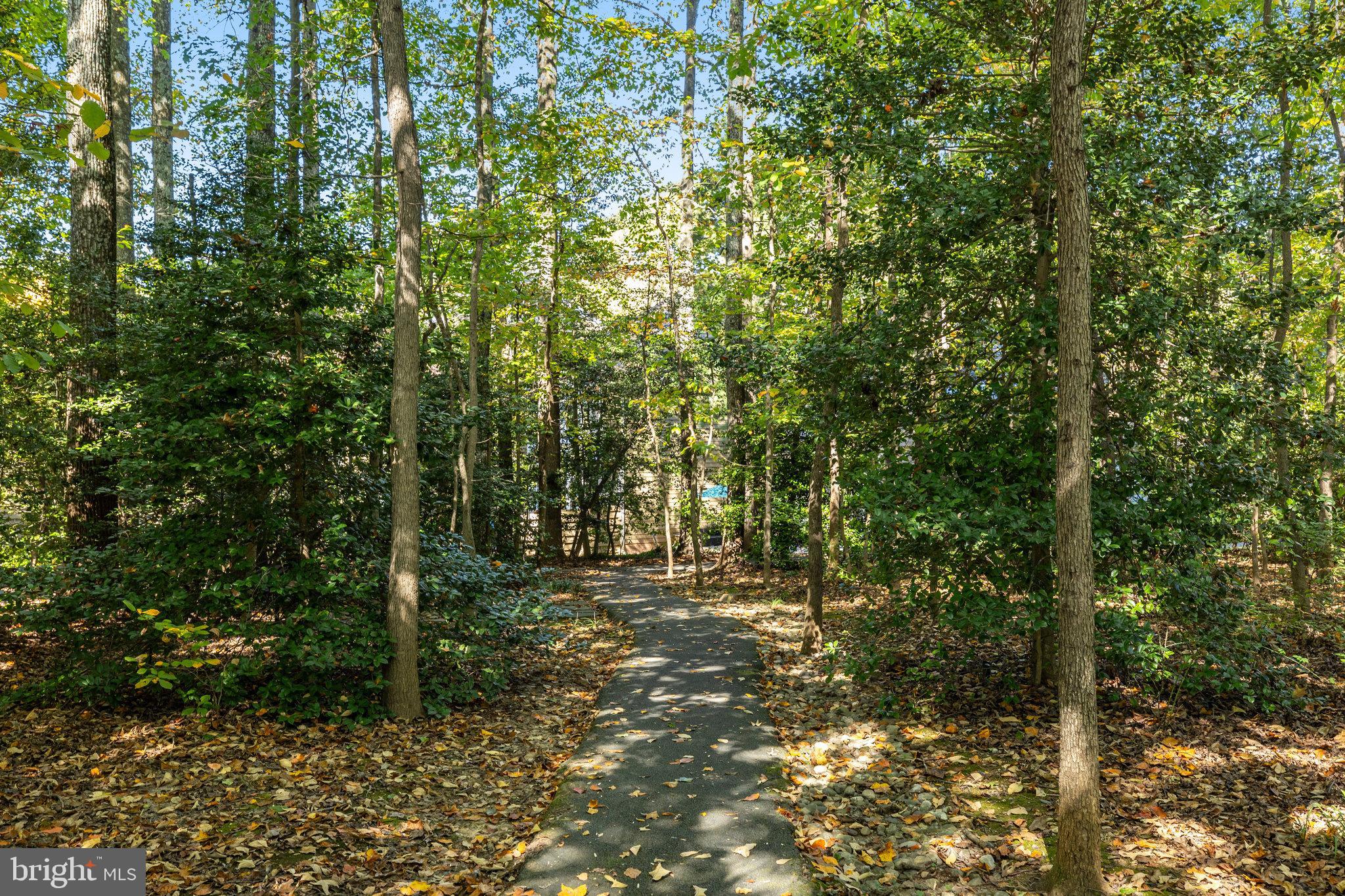 11410 Hollow Timber Way