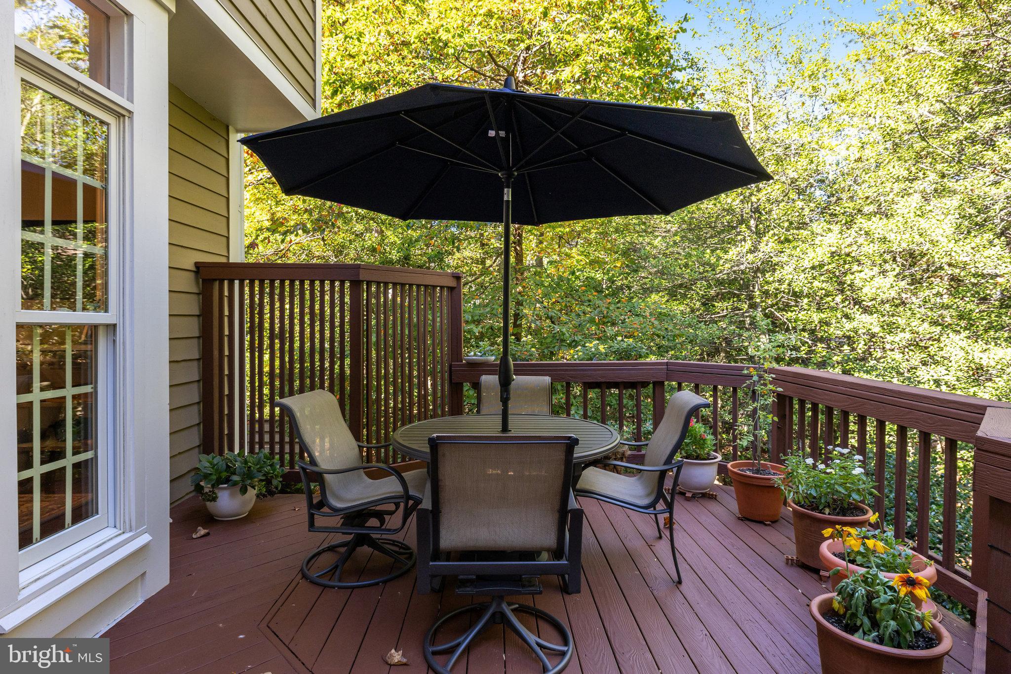 11410 Hollow Timber Way