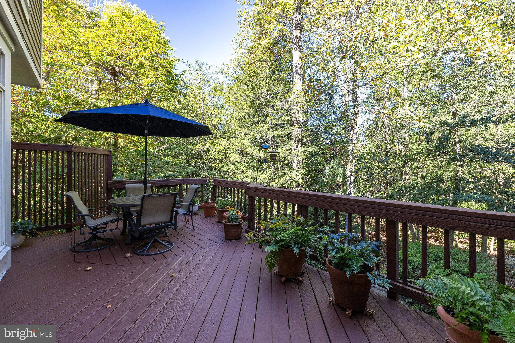 11410 Hollow Timber Way