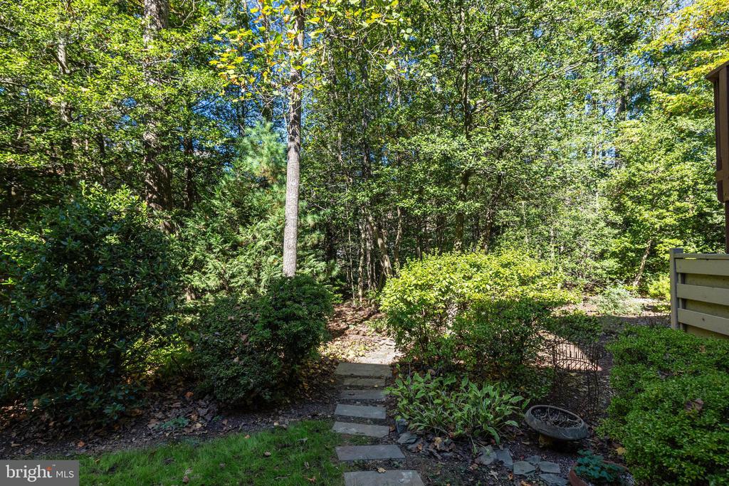 11410 Hollow Timber Way