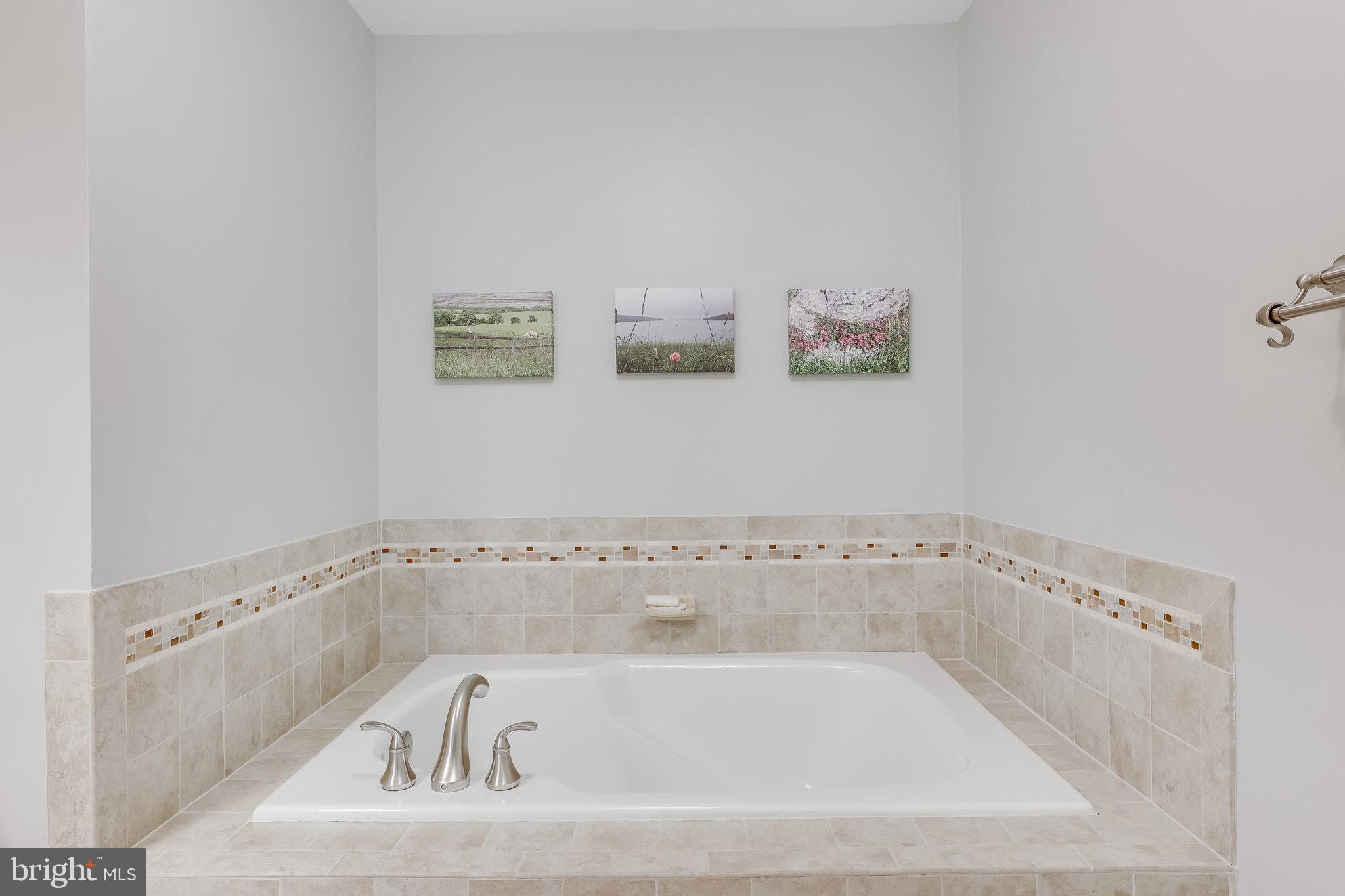 11410 Hollow Timber Way