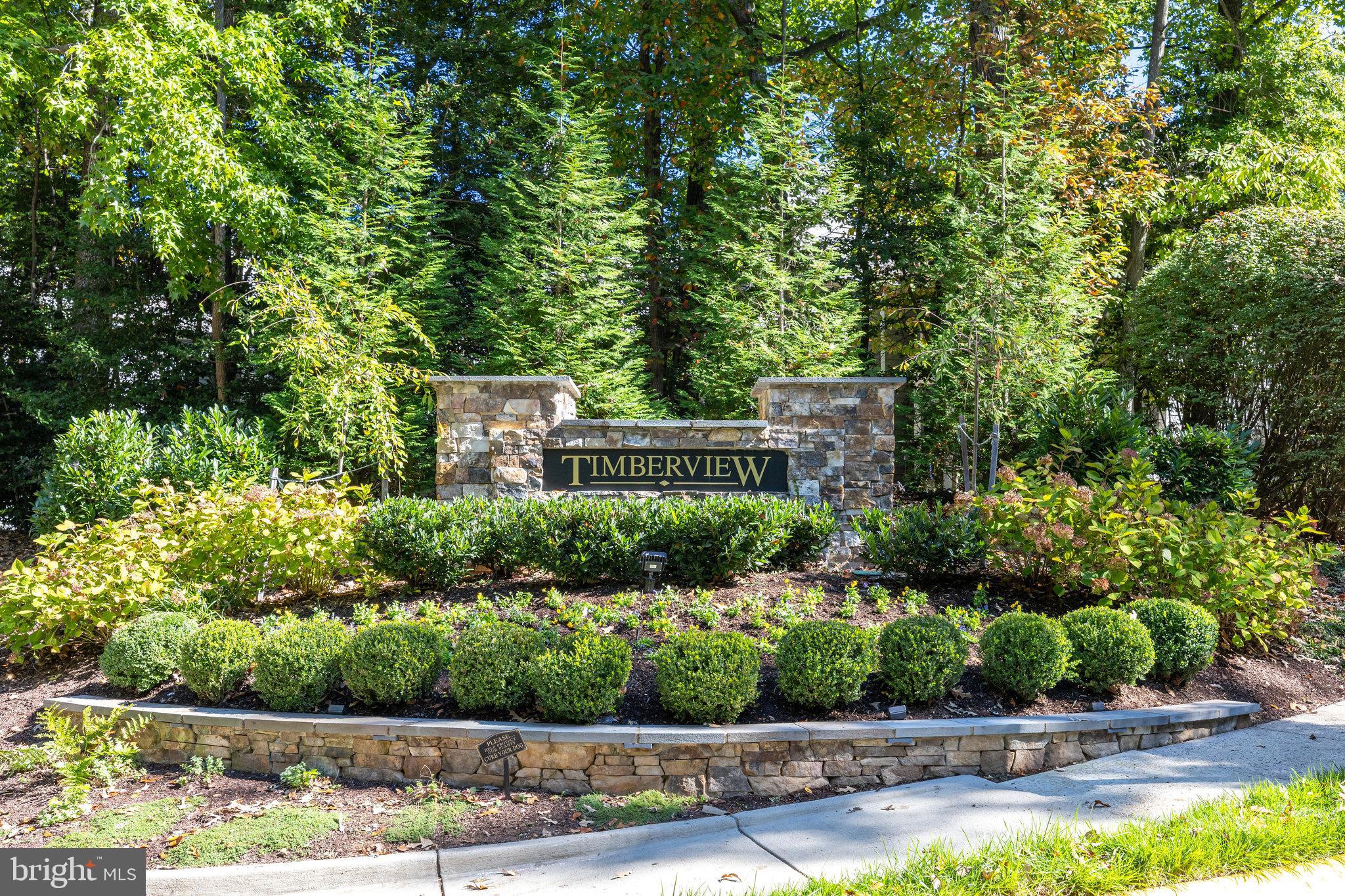 11410 Hollow Timber Way