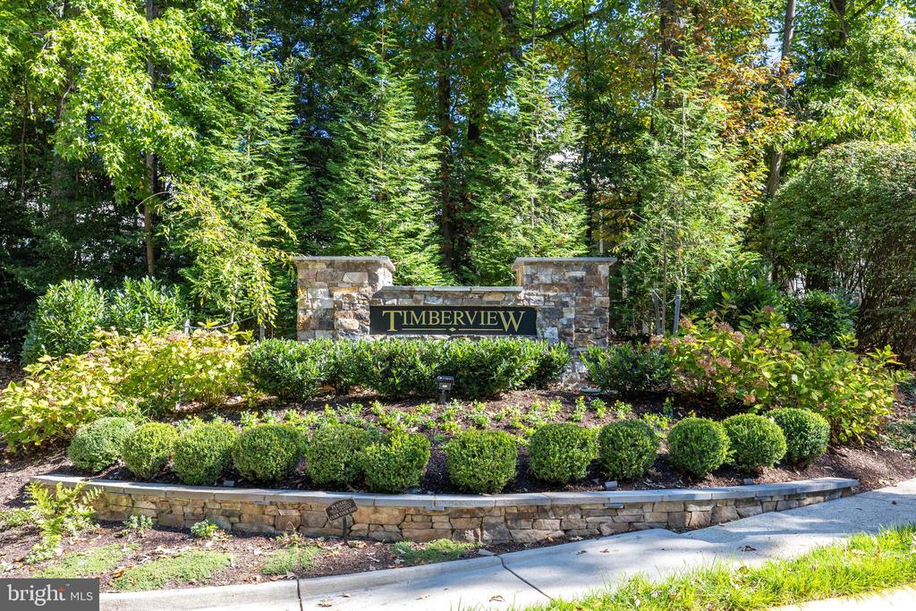 11410 Hollow Timber Way