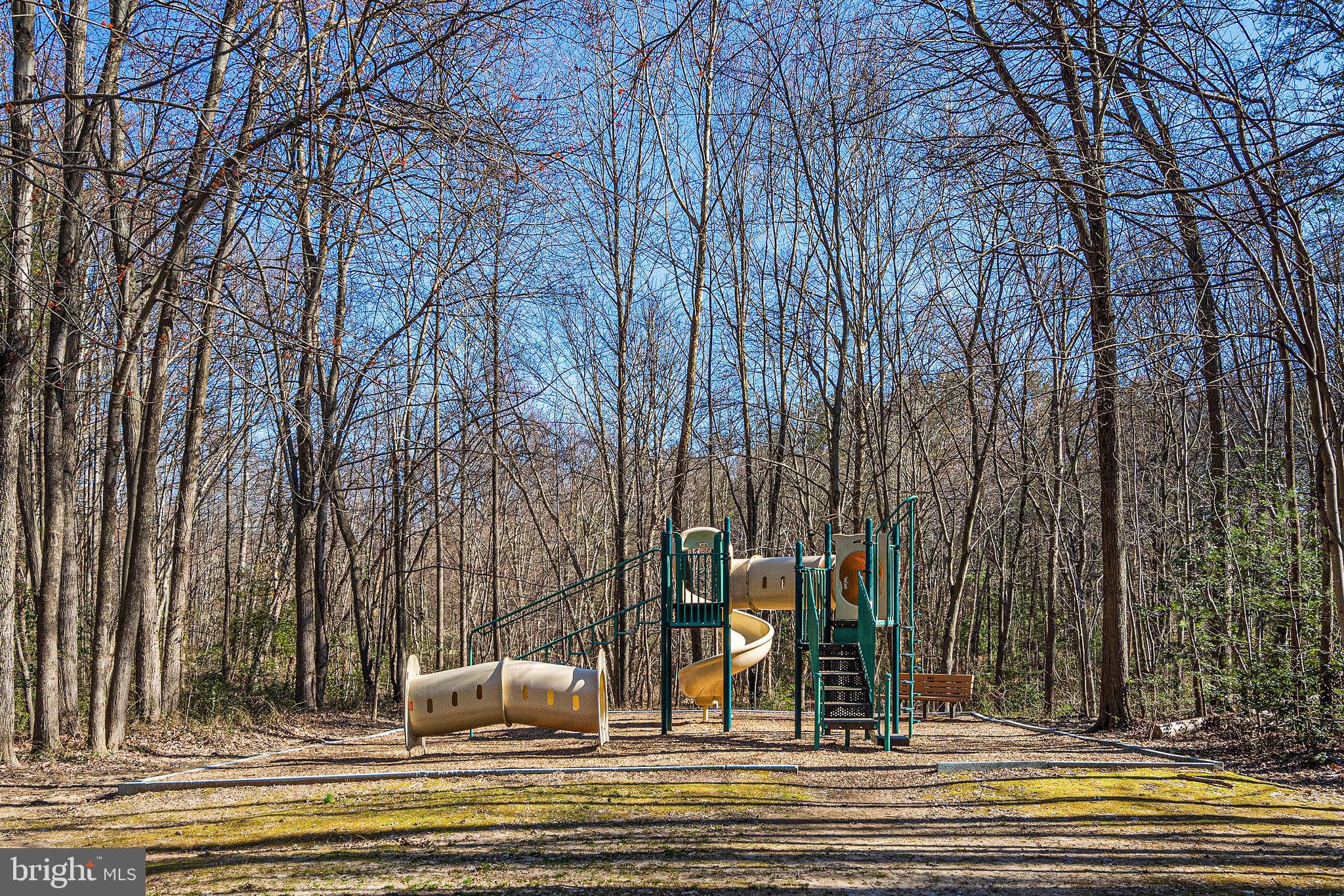 11440 Hollow Timber Ct