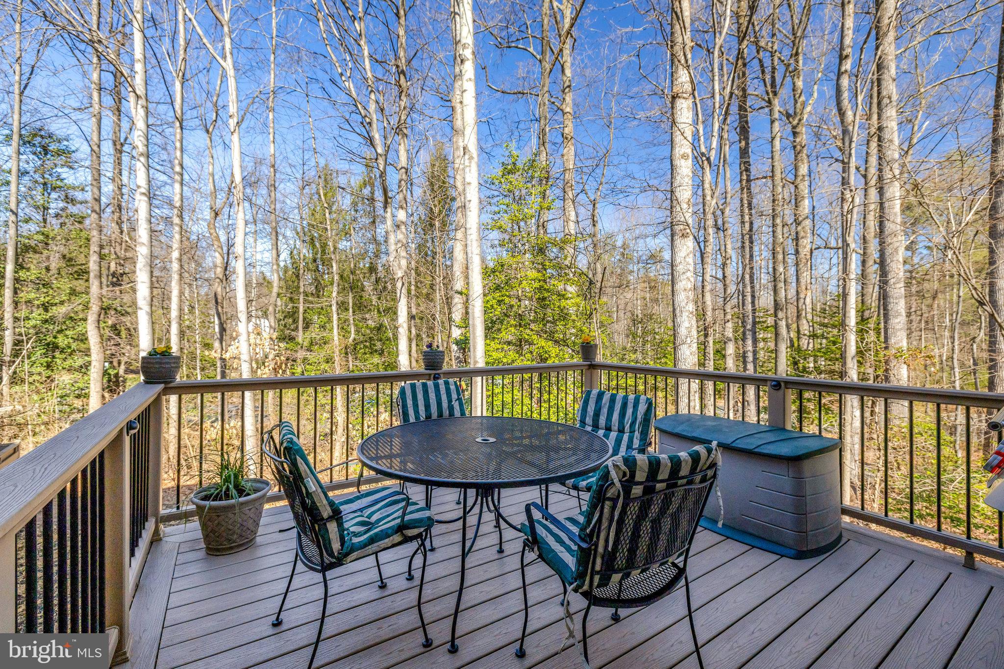 11440 Hollow Timber Ct