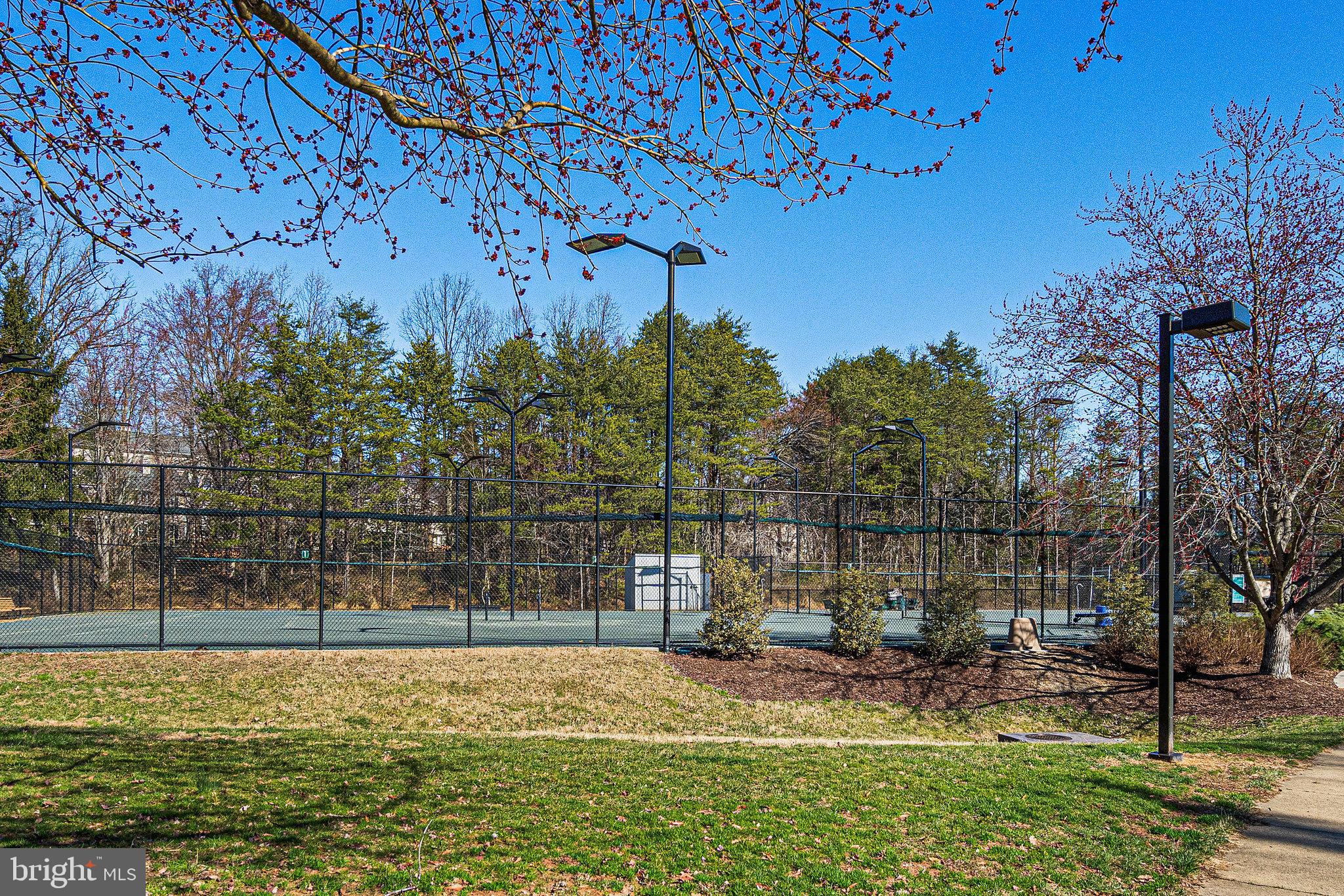 11440 Hollow Timber Ct