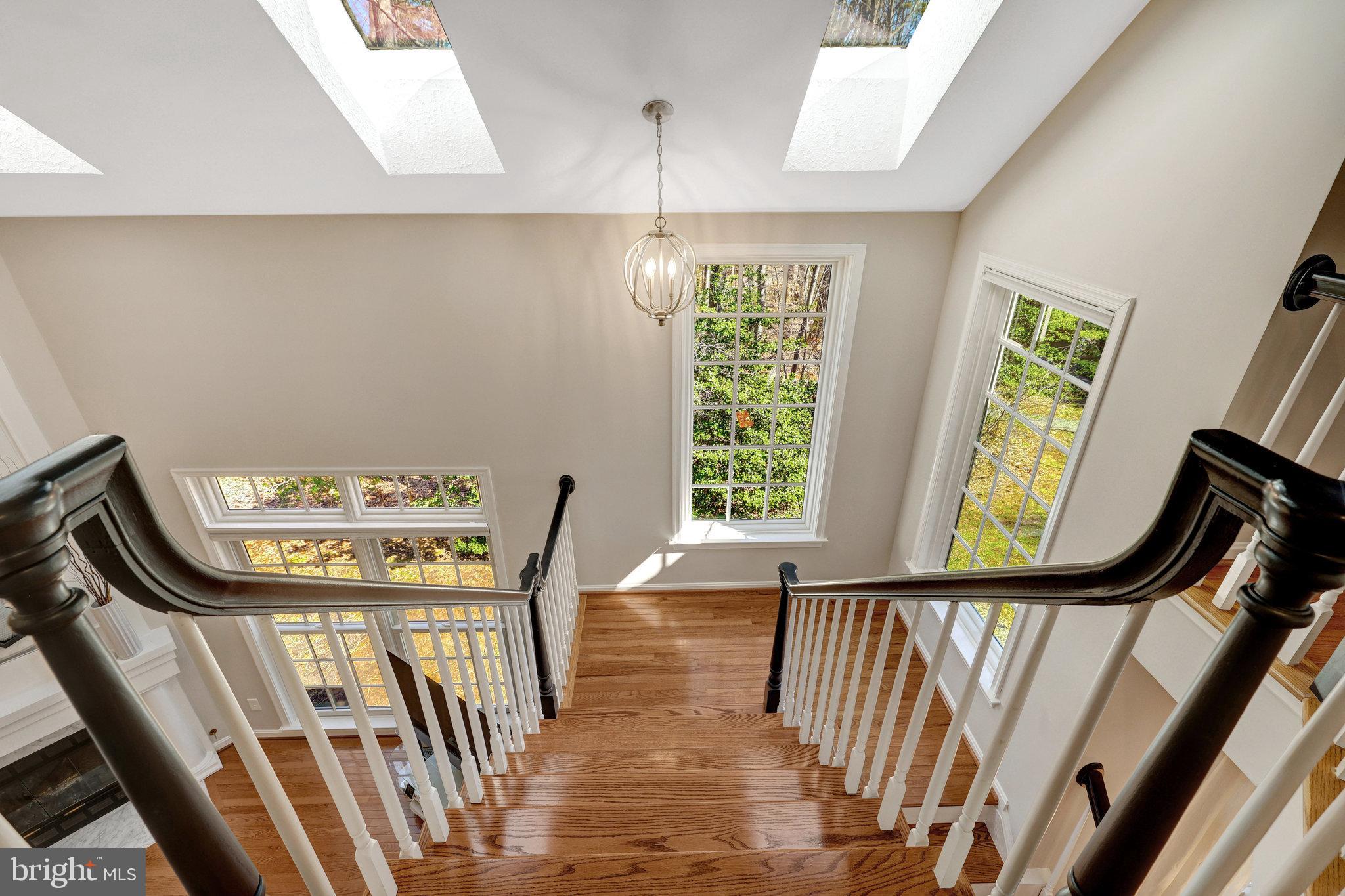 11440 Hollow Timber Ct